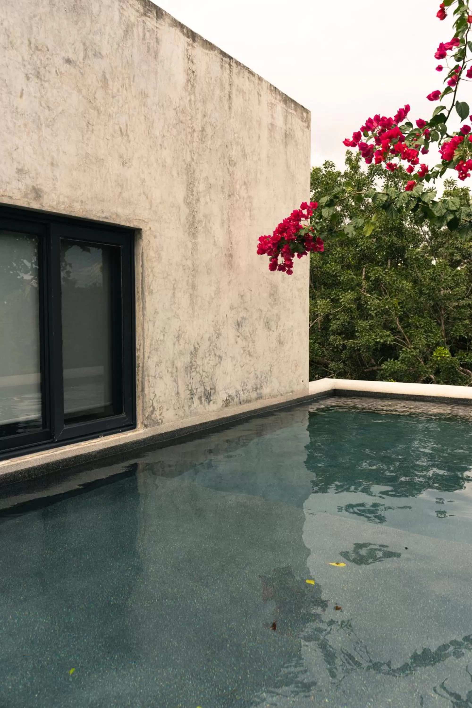 Swimming pool in Panacea Condo Tulum