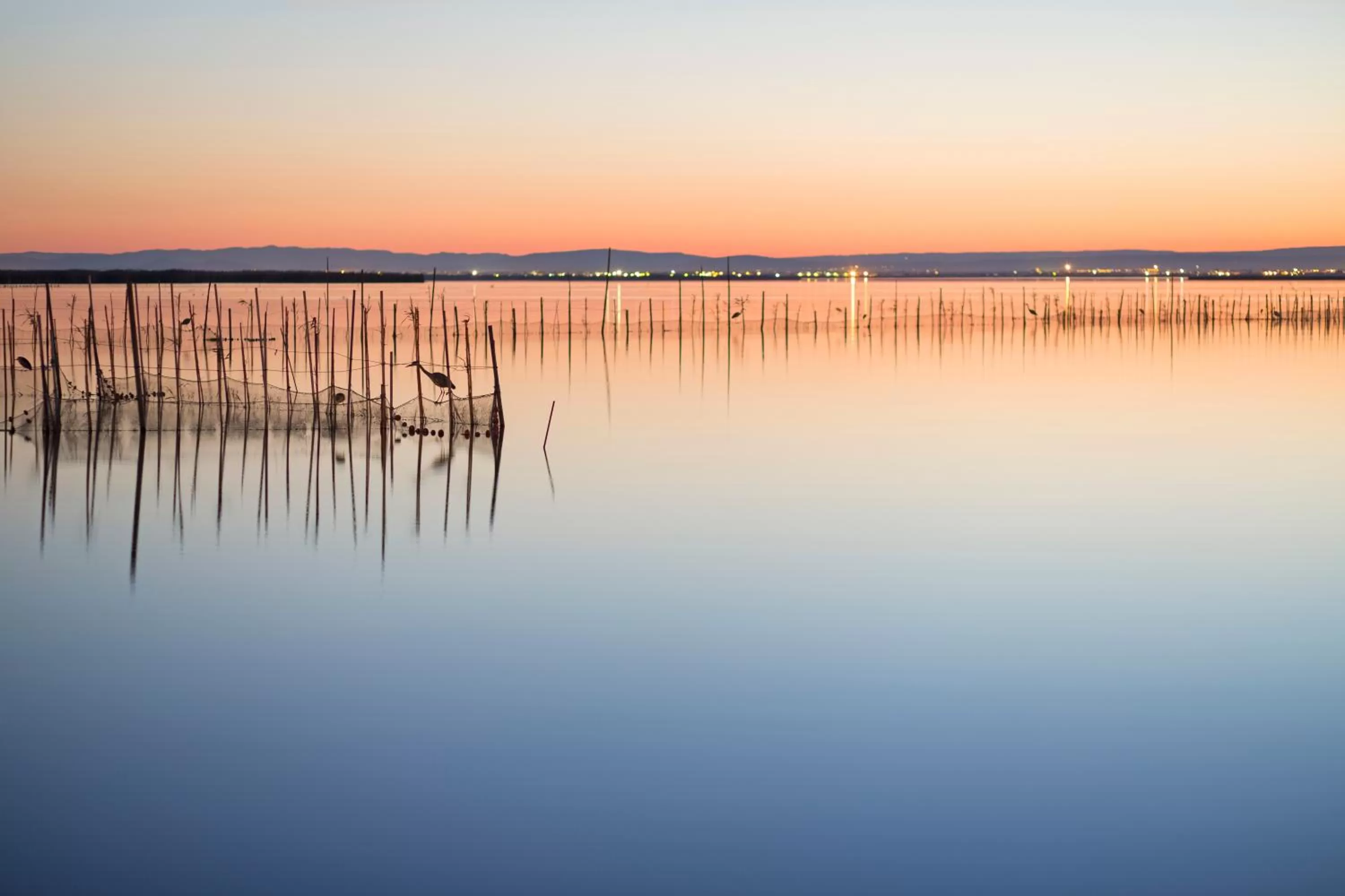 Nearby landmark in Hotel Albufera