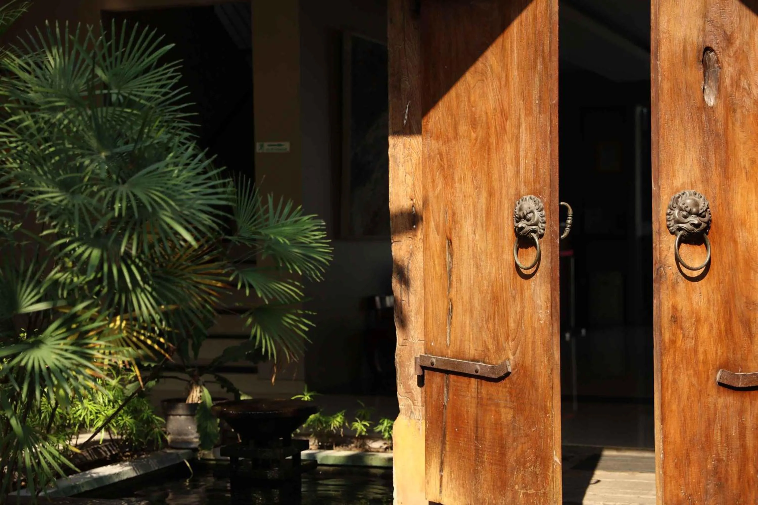 Property building in Bale Ocasa by Behomy