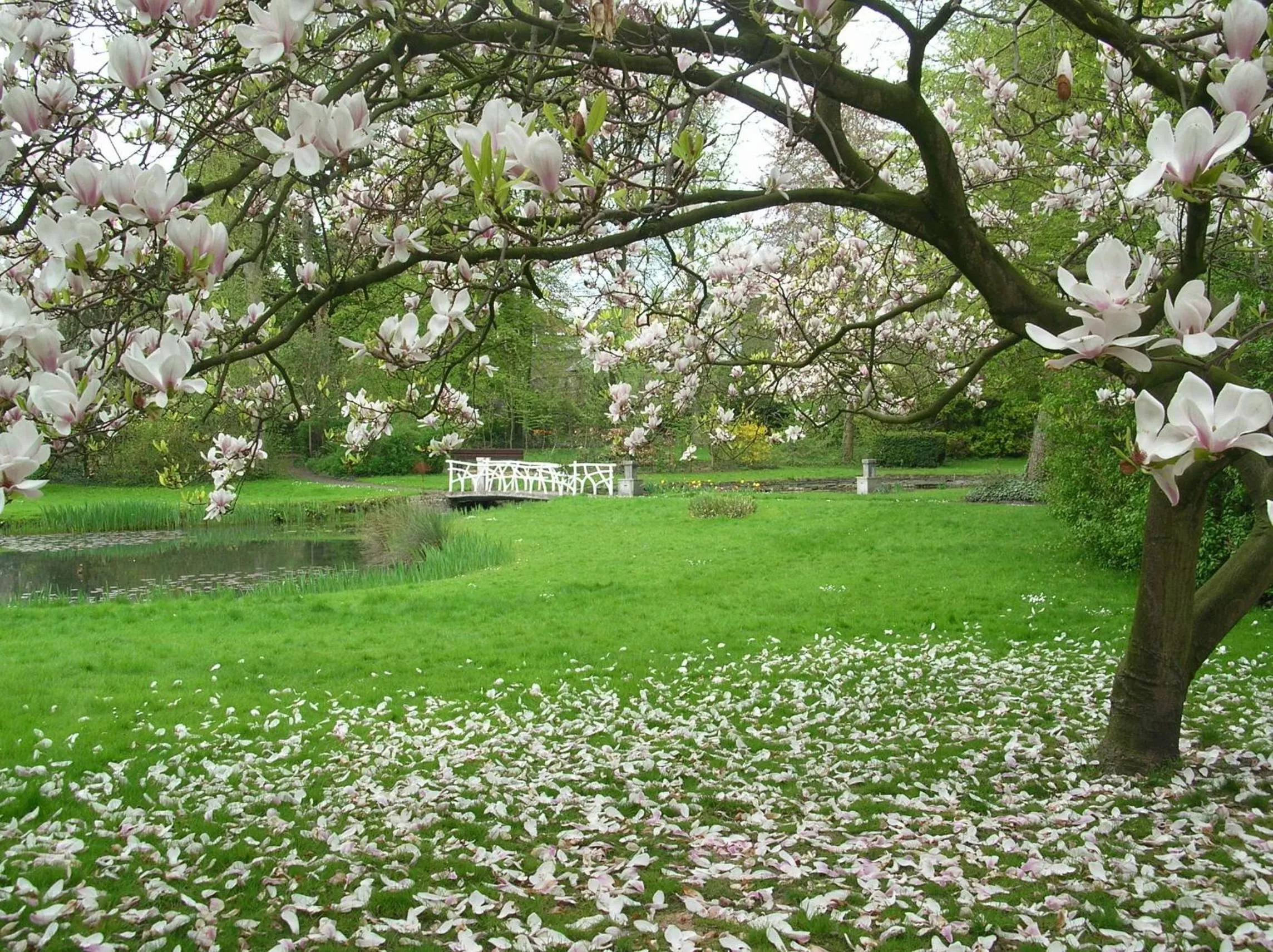 Garden in Het Rustpunt
