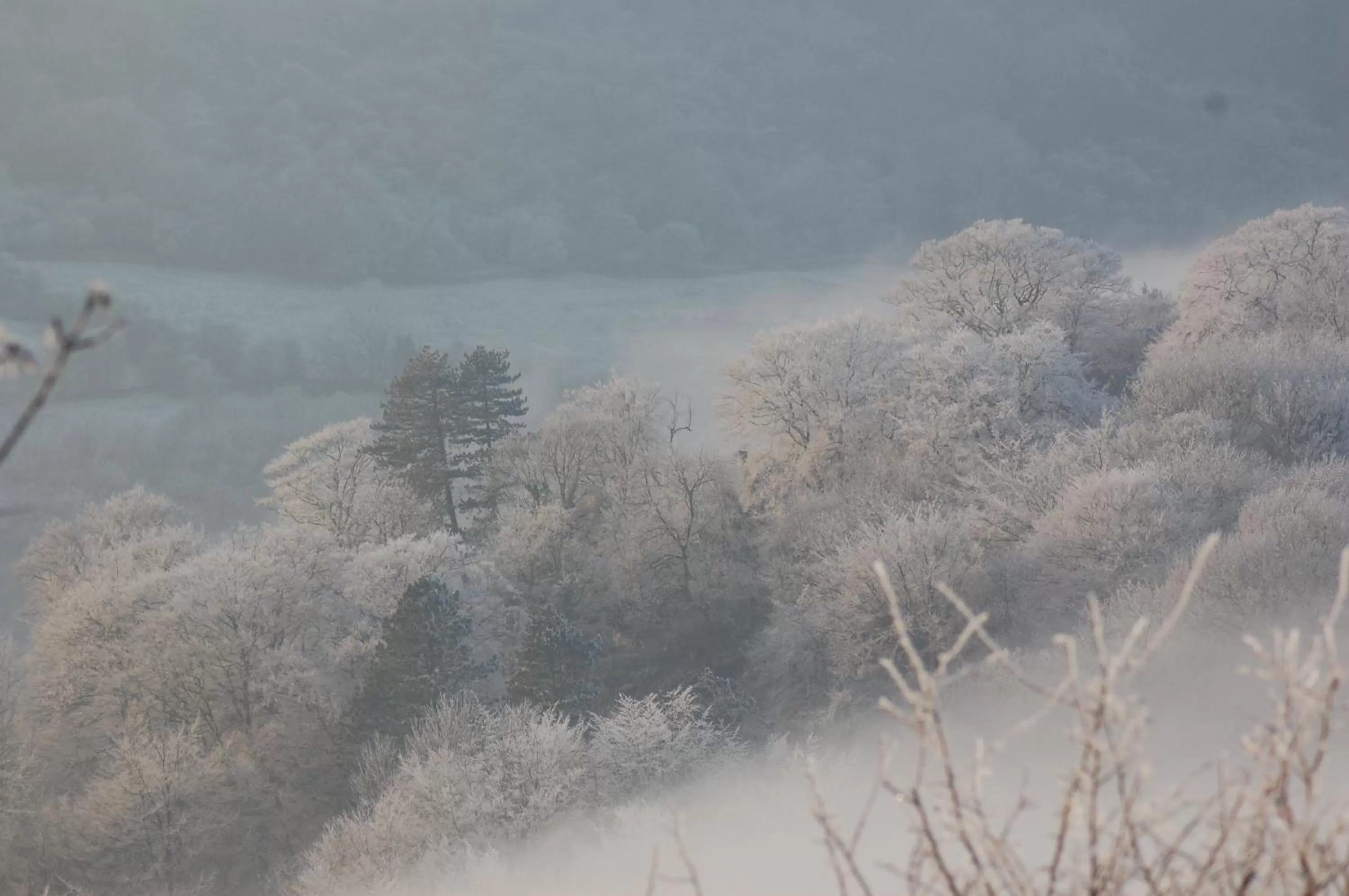 Winter in The Gables Bed & Breakfast