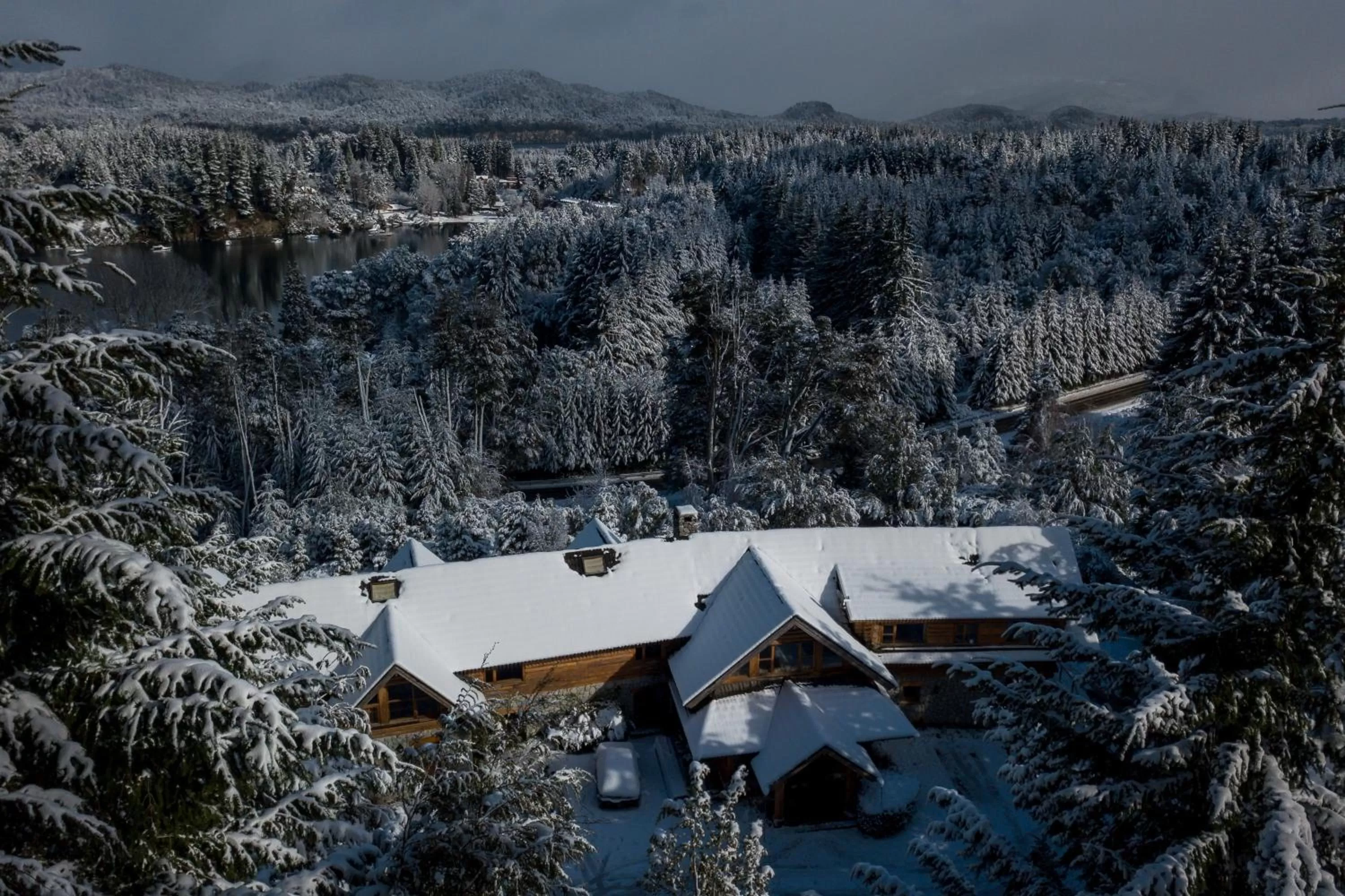 Bird's eye view, Bird's-eye View in Amigos del Bosque
