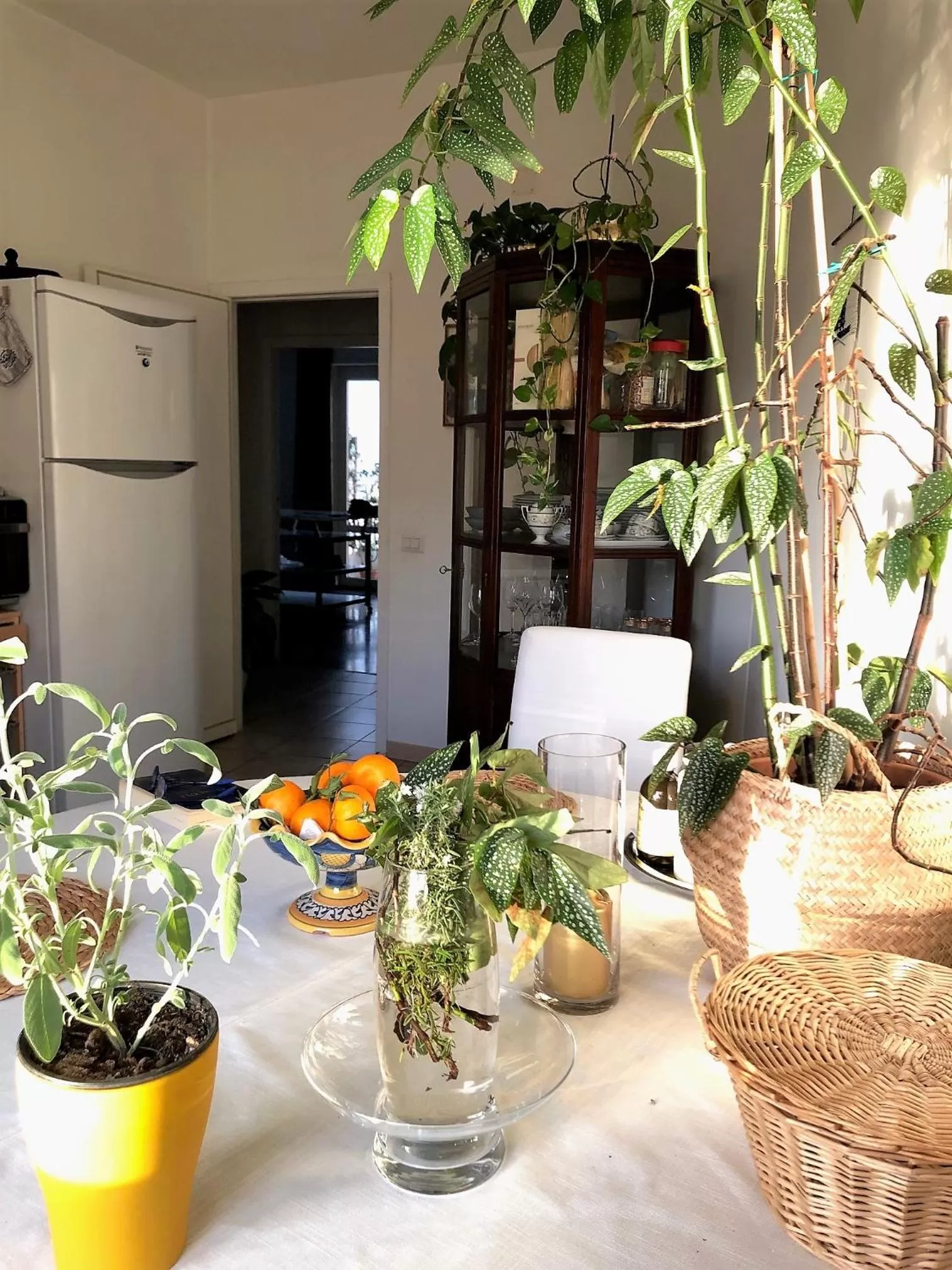 kitchen in B&B Fashion style