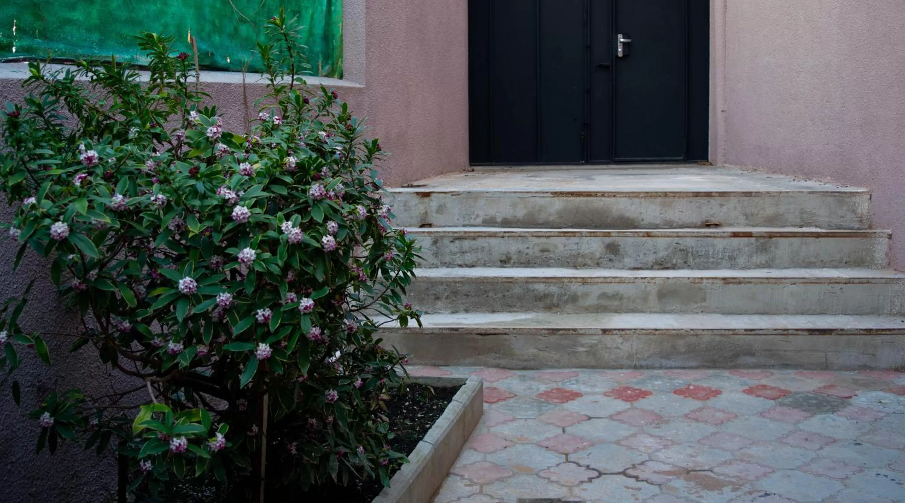 Property building in Sunflower Hotel