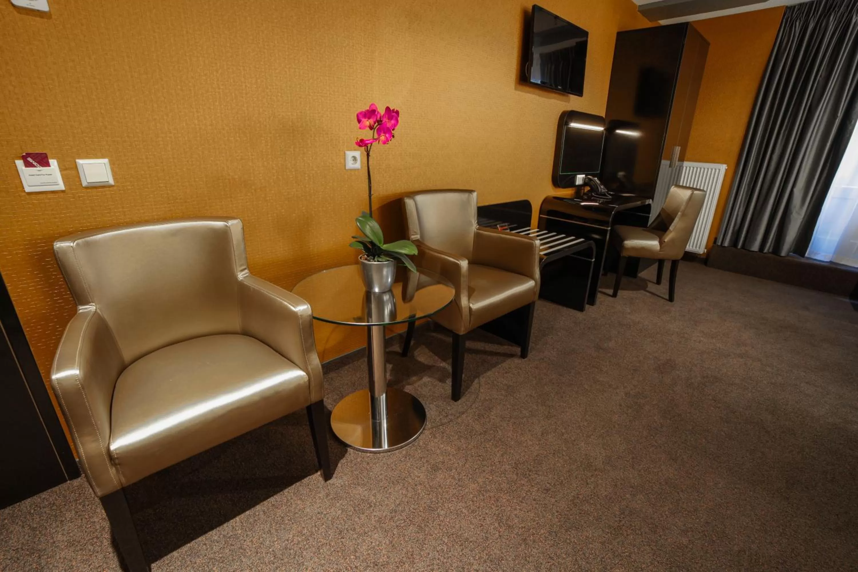 TV and multimedia in Hotel Mansion