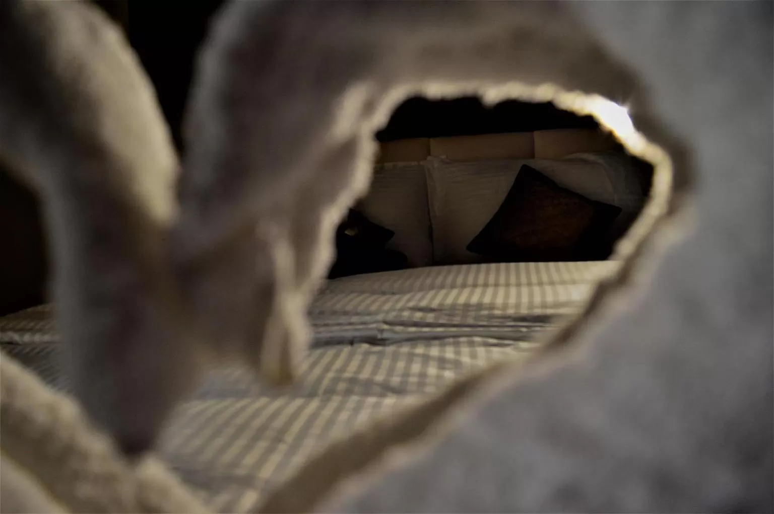 Decorative detail, Bed in Citi Inn