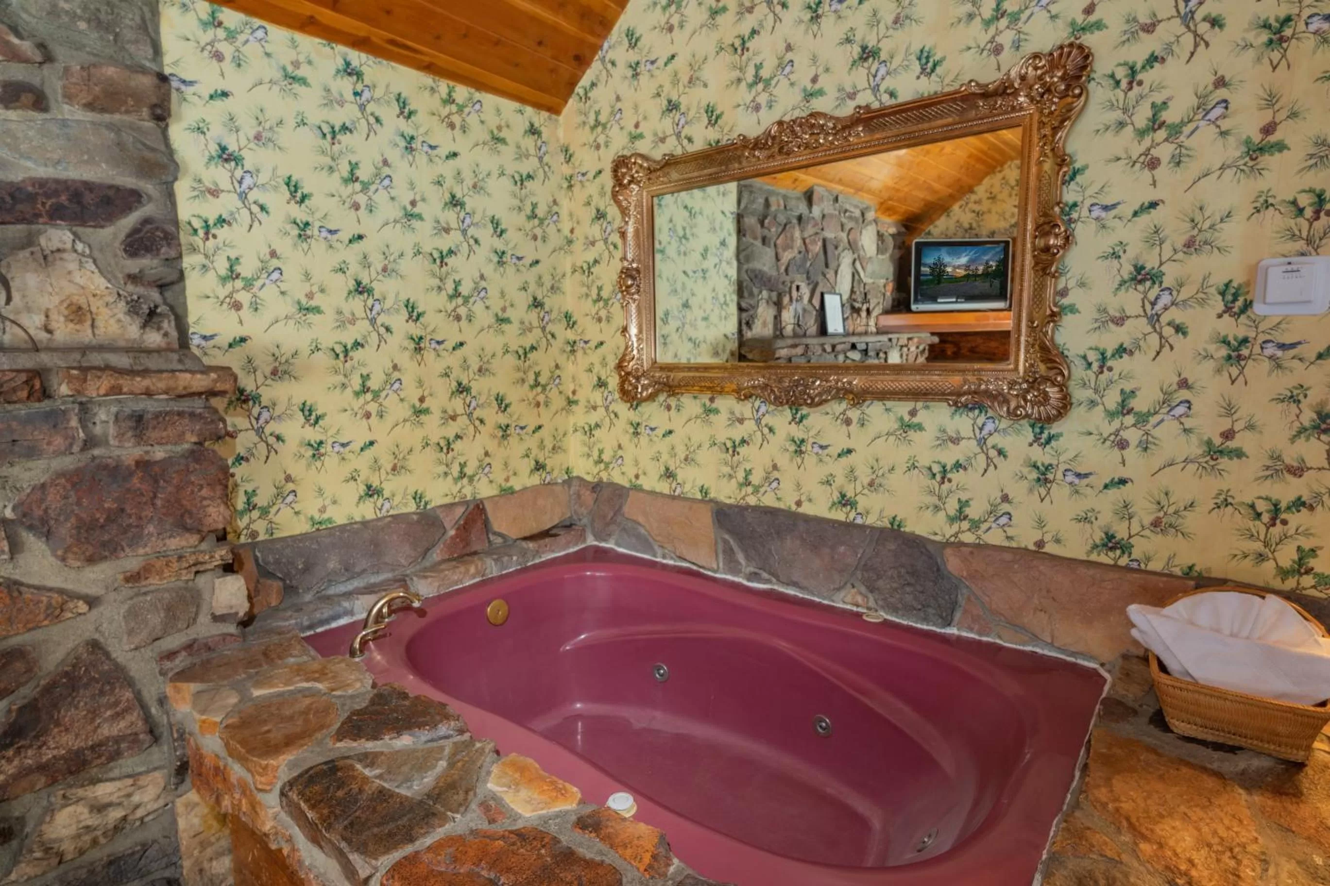 Bath in Black Forest Lodge