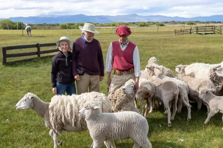 Other Animals in Hostería El Galpón Del Glaciar