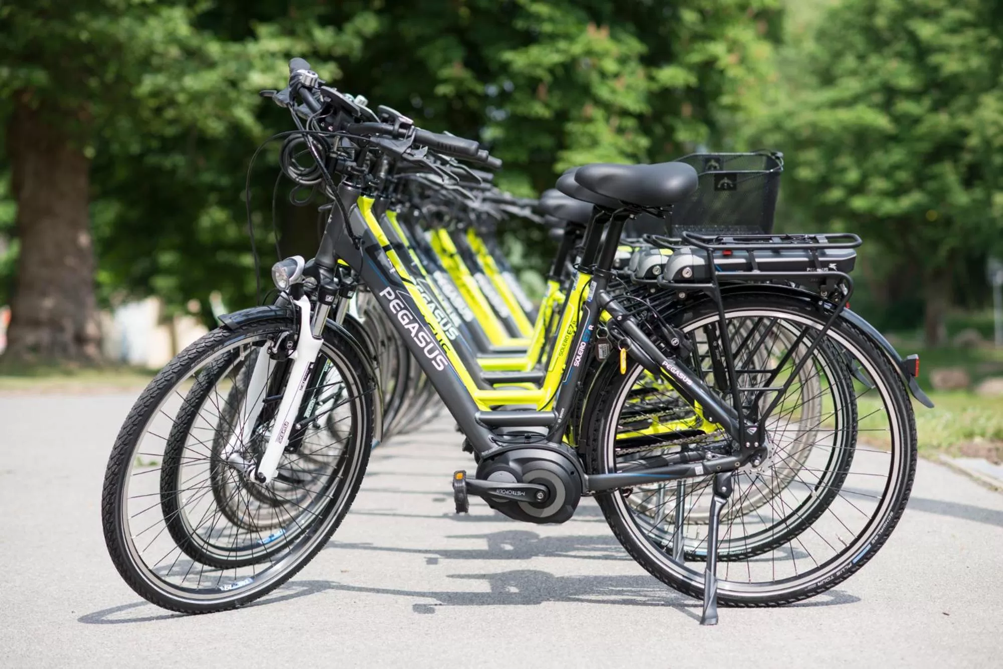 Cycling in Spa Hotel Amsee