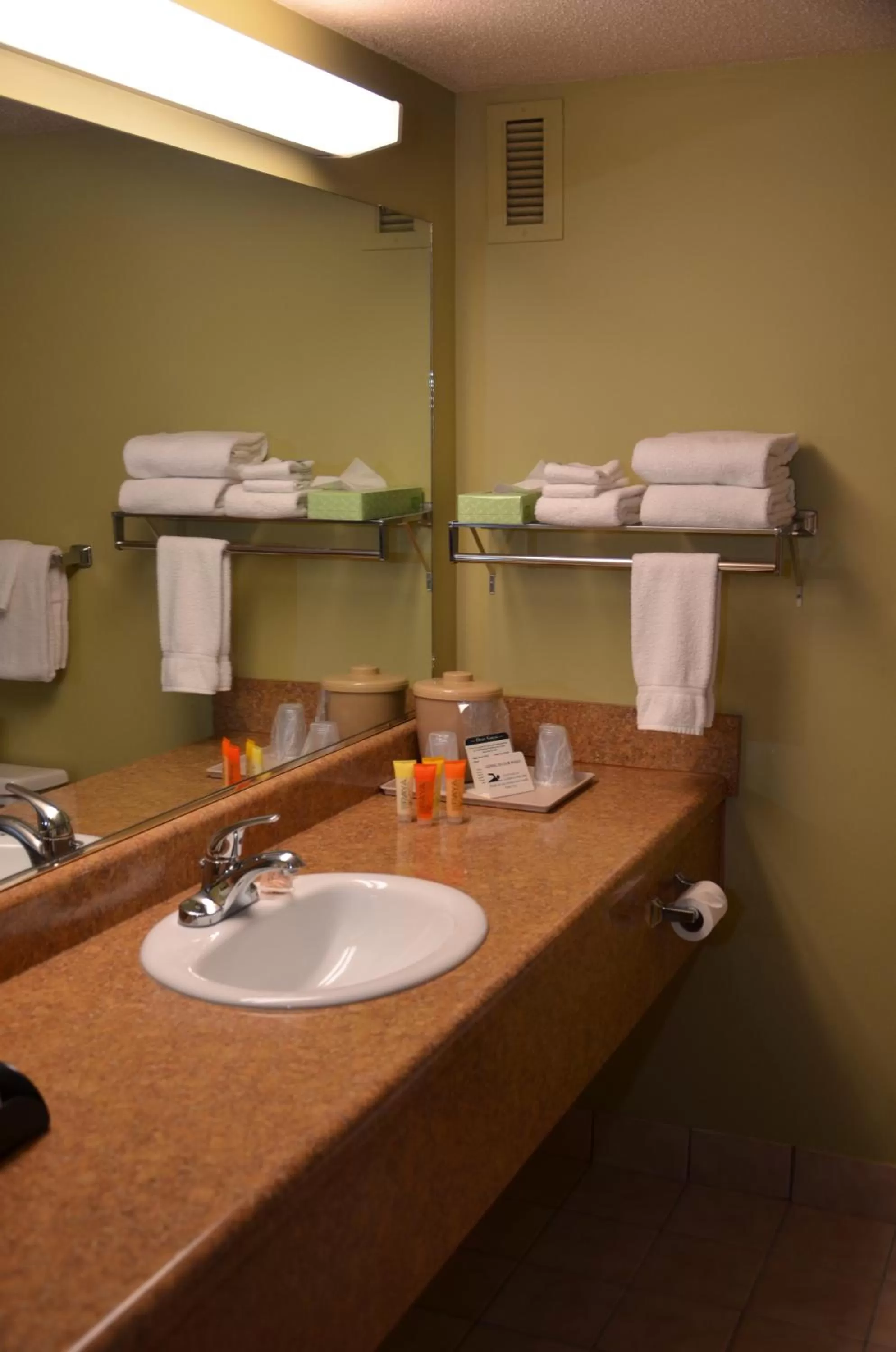 Bathroom in Tawas Bay Beach Resort & Conference Center