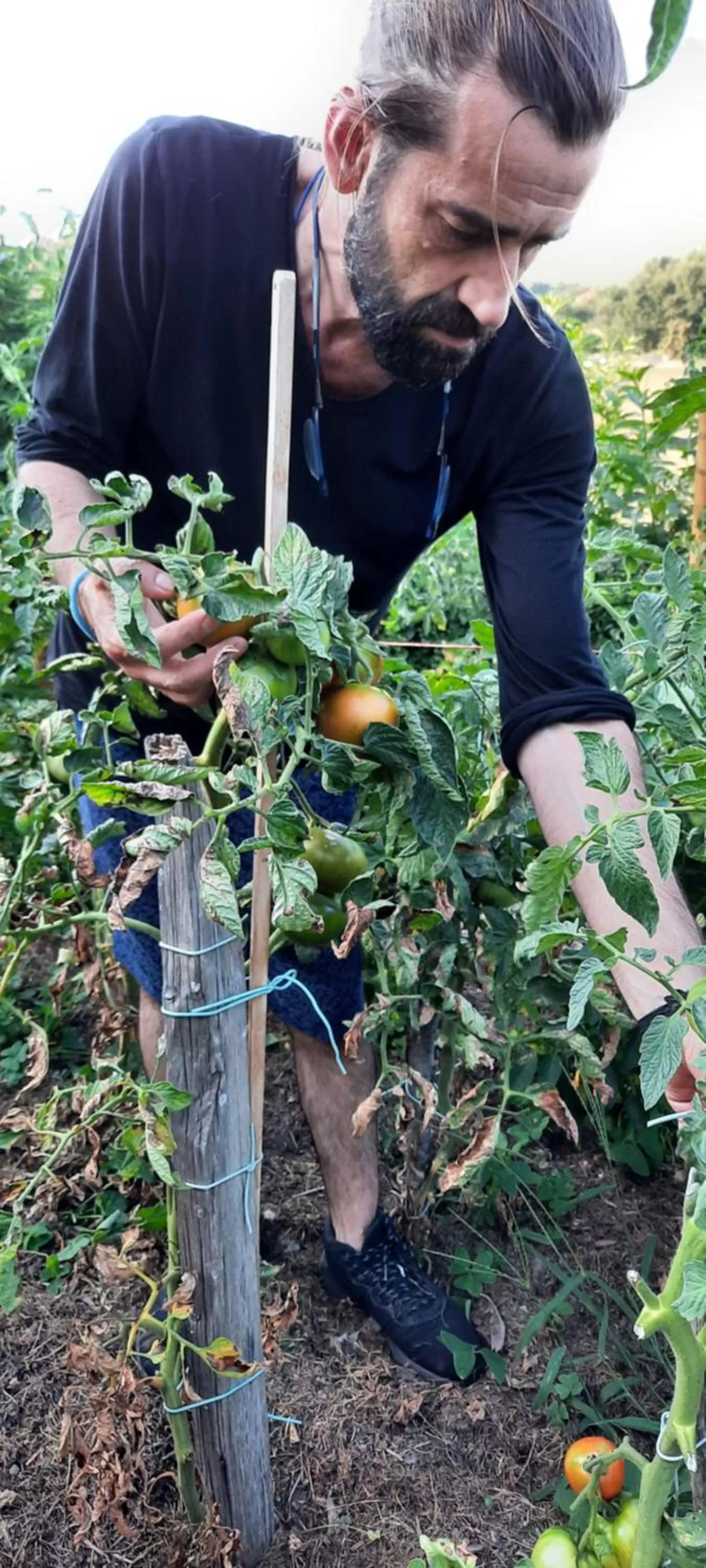 Garden, Other Animals in Rectoral de Anllo
