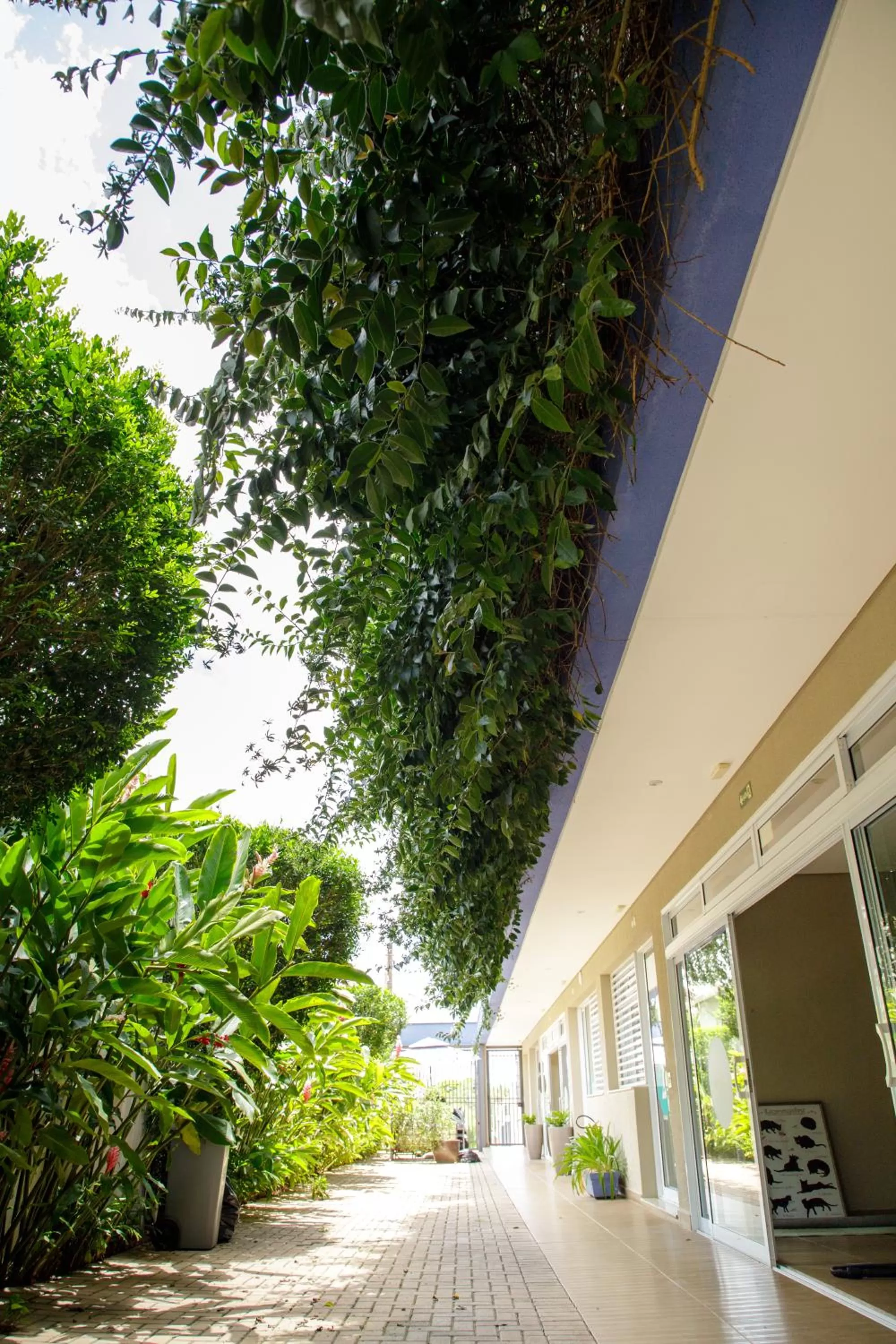 K1 RESIDENCE Taquaral