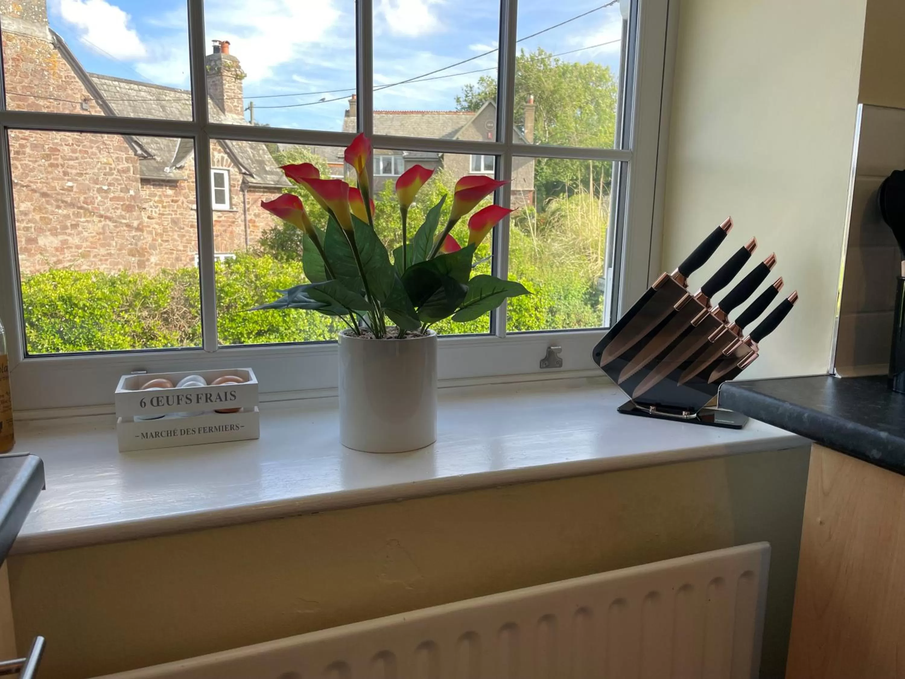 kitchen in Carew Lodge & Loft