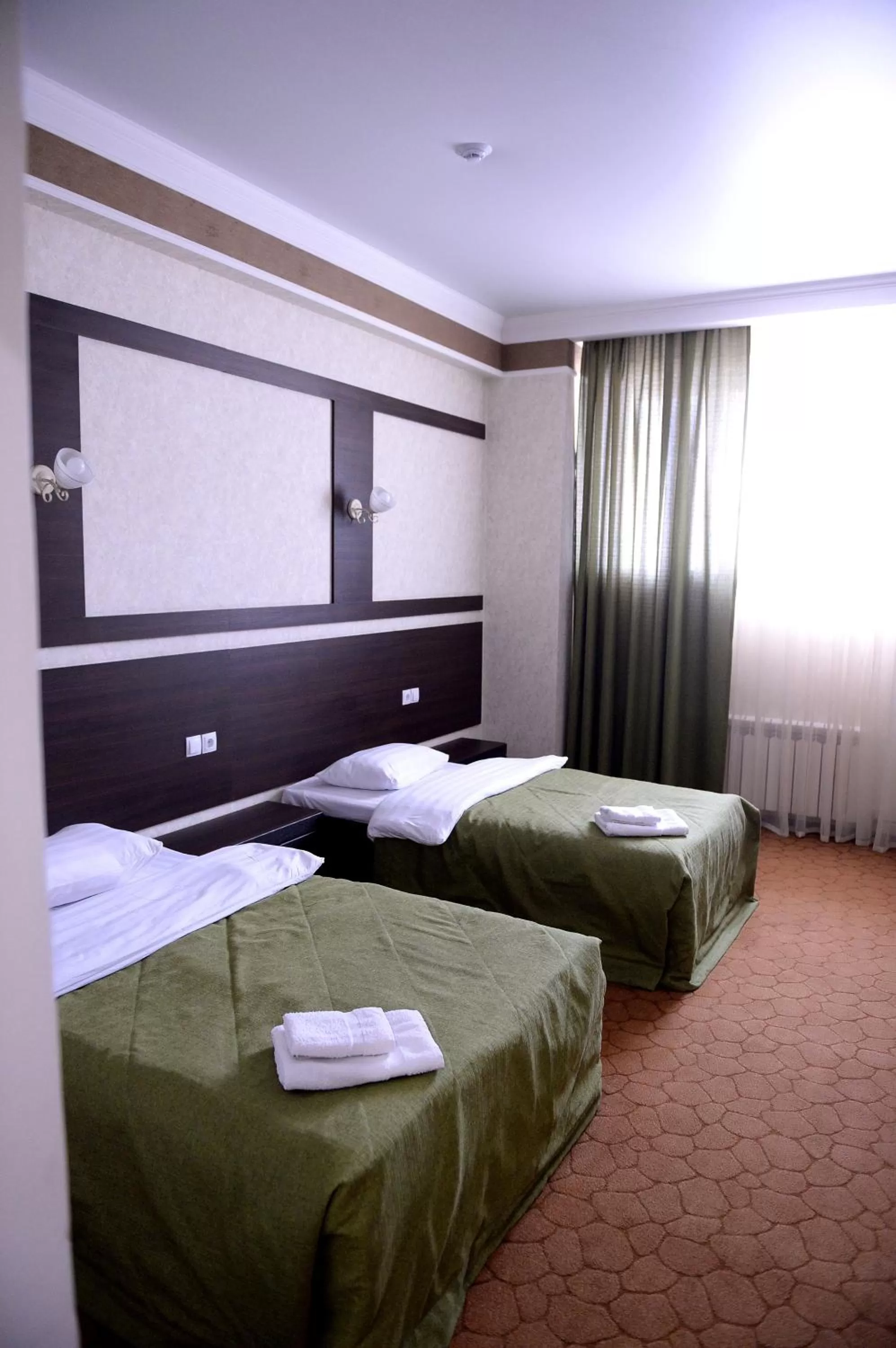 Deluxe Twin Room in Pride Hotel