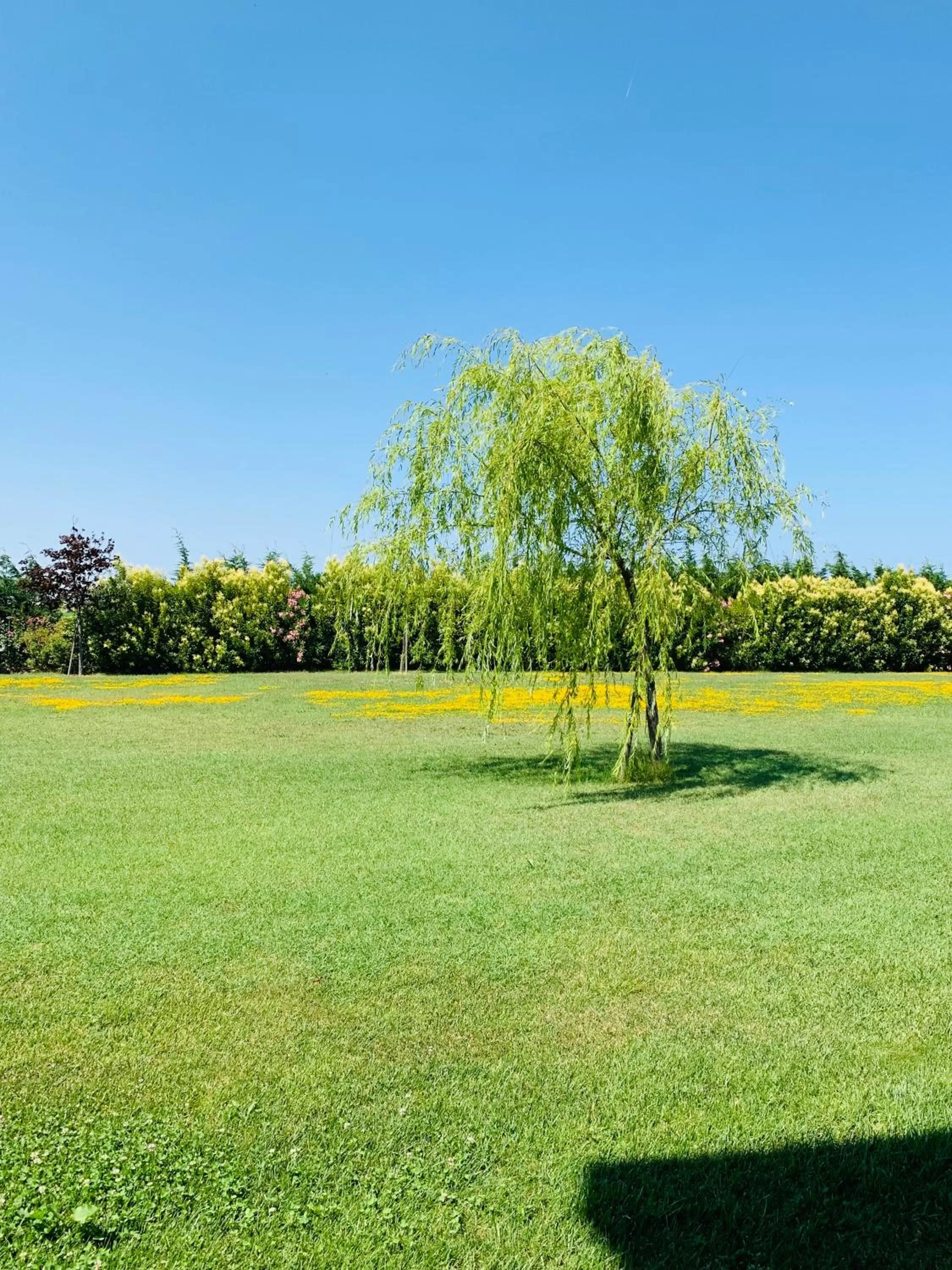 Garden in B&B Beauty House