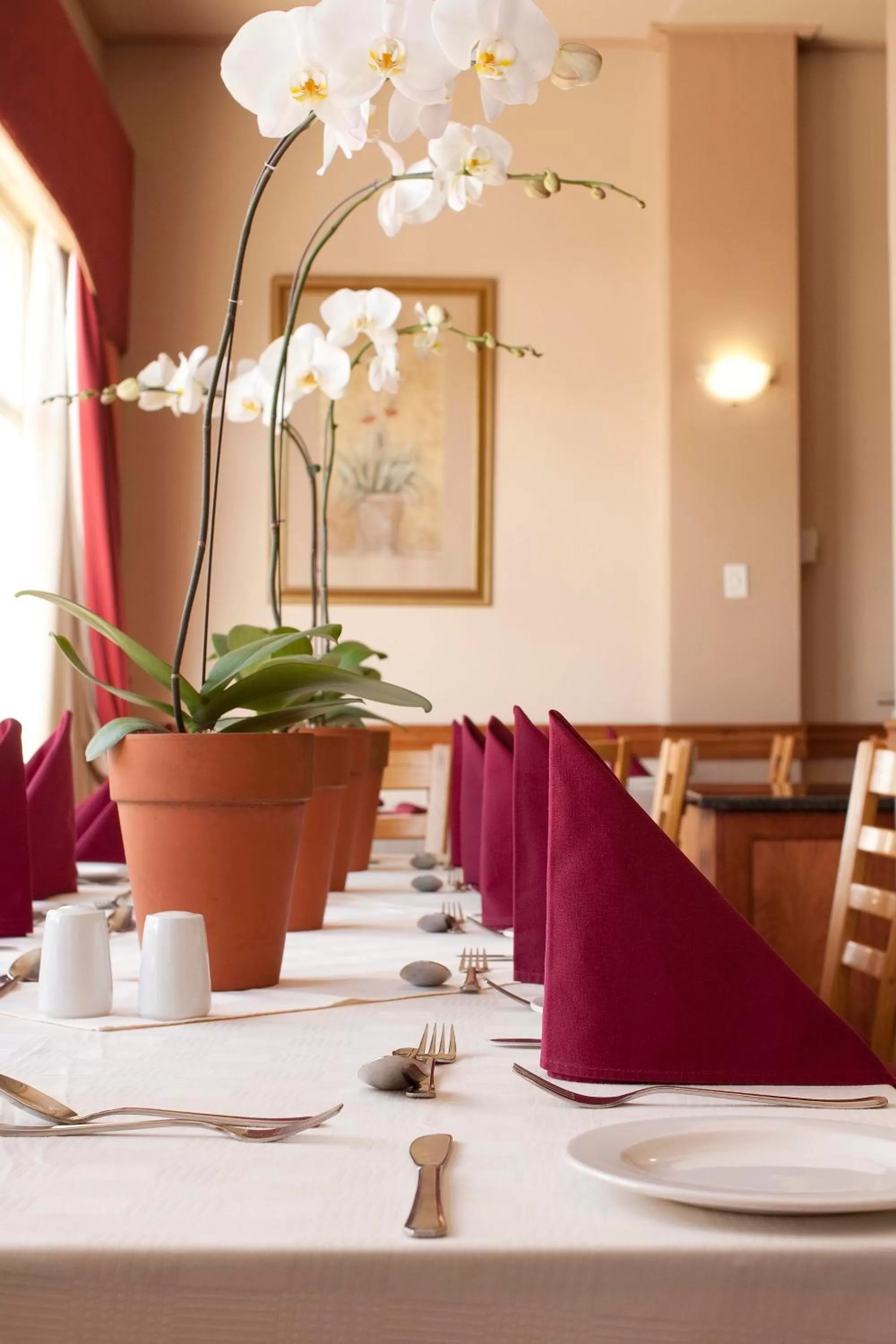 Restaurant/places to eat in Apollo Hotel