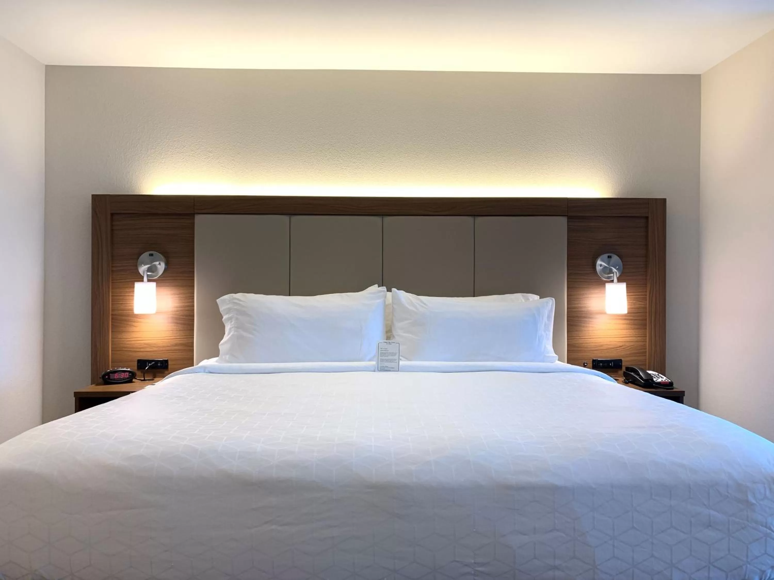 Photo of the whole room, Bed in Holiday Inn Express & Suites Danville by IHG