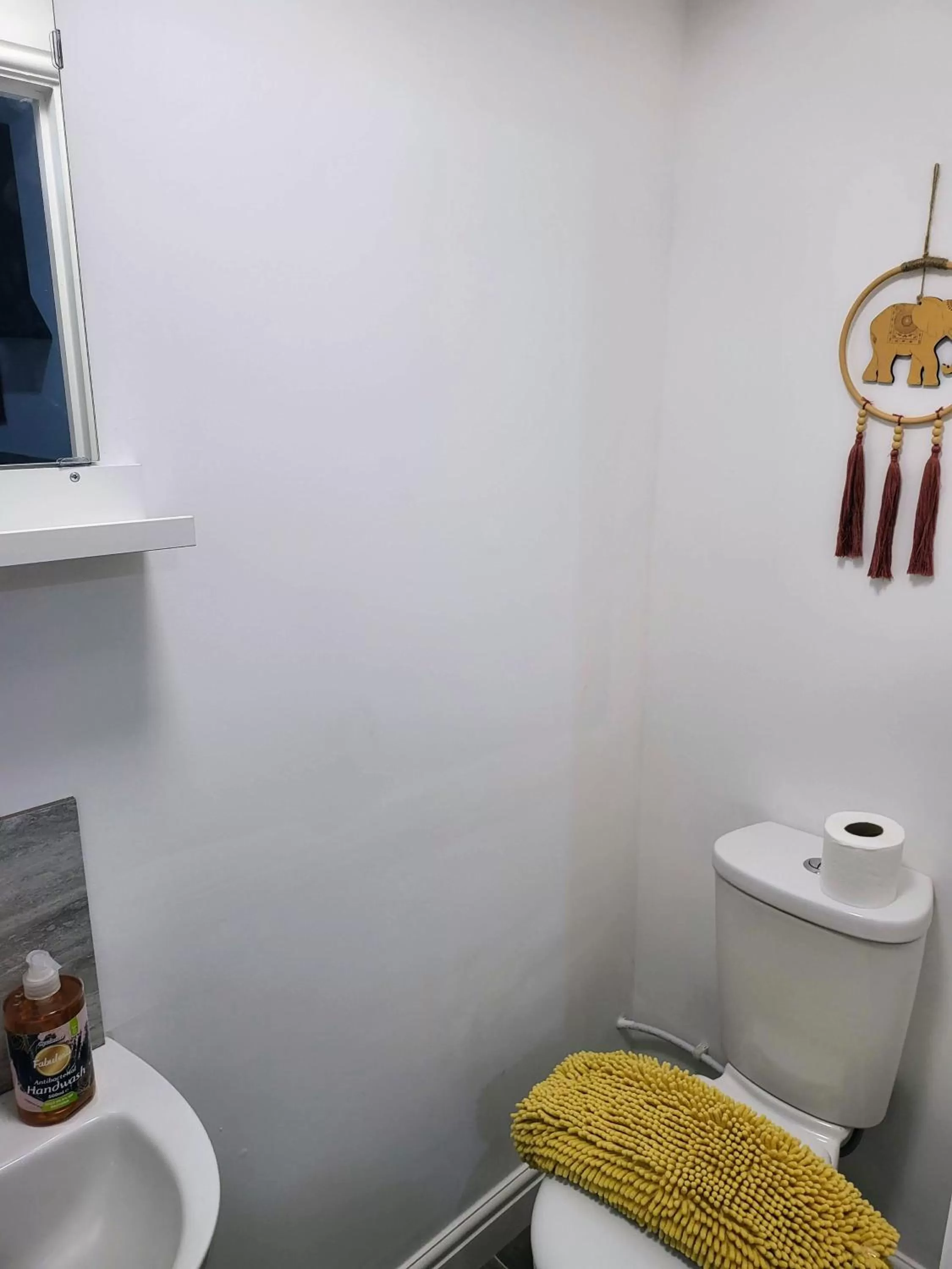 Toilet in Easy Living Nottingham - Burns Street