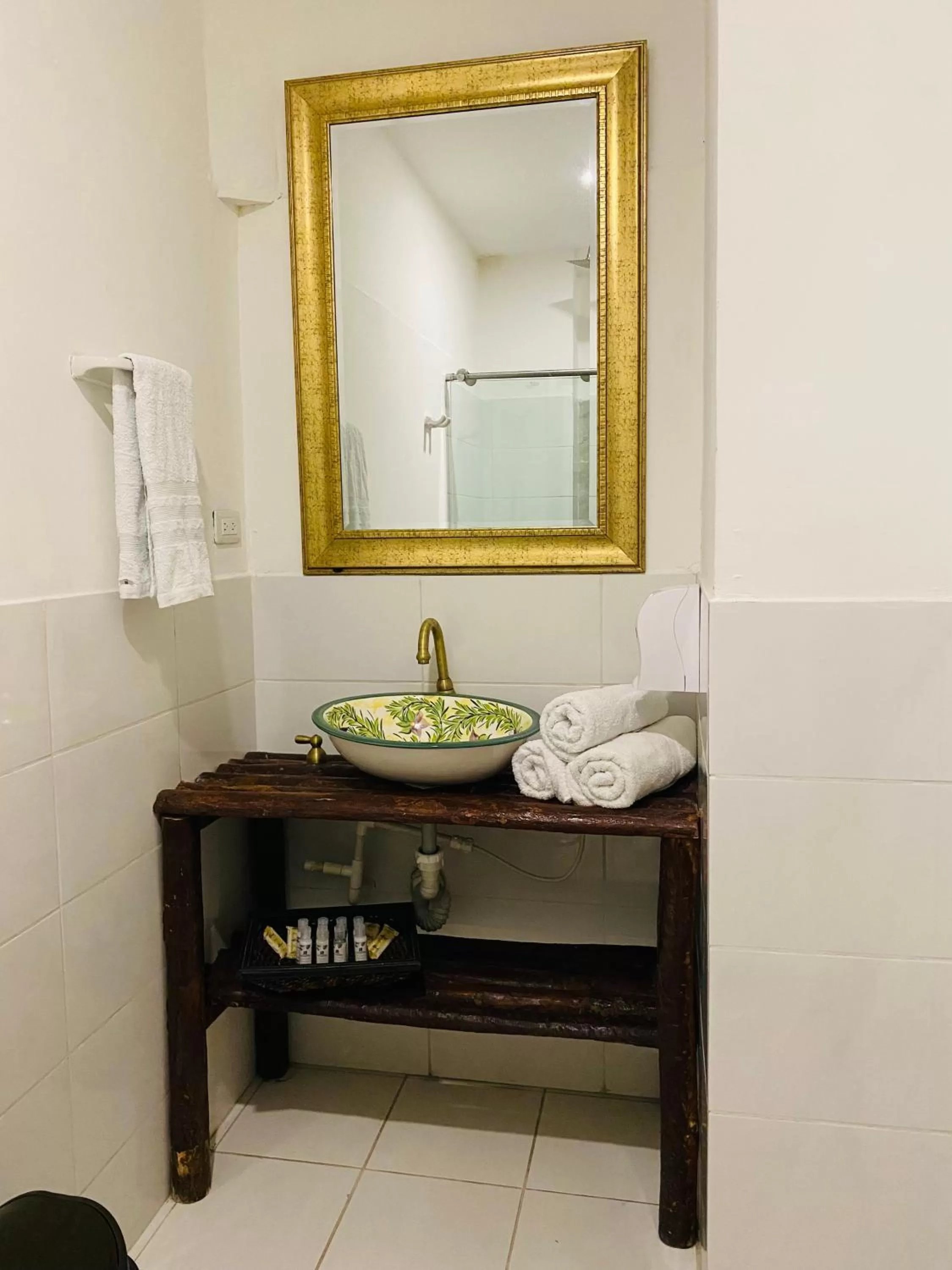 Toilet in Hotel Terraza San Antonio