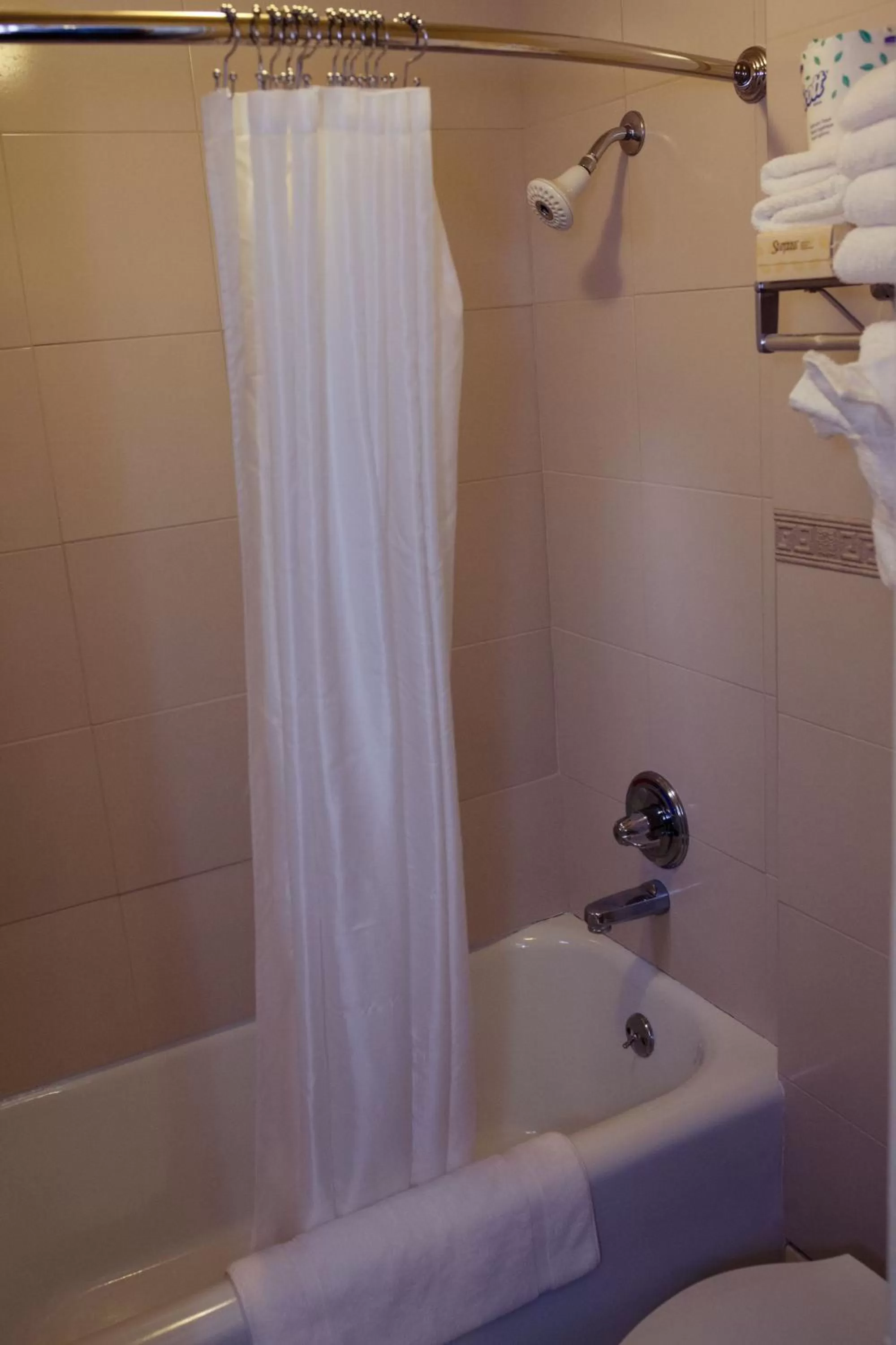 Shower in Gilmore Hotel, Trademark Collection by Wyndham
