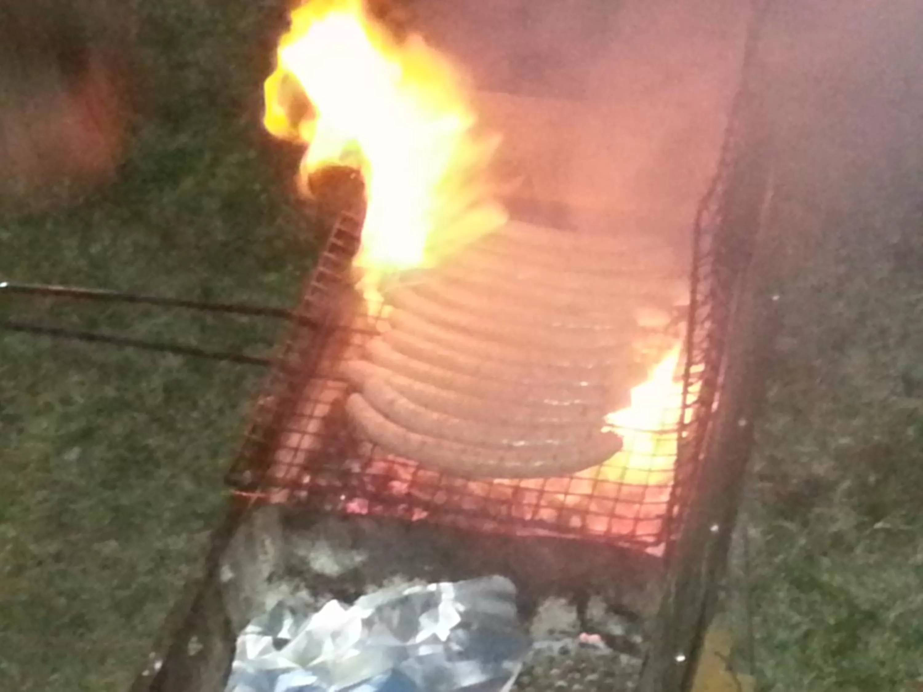 BBQ facilities in Al Villino del Sole
