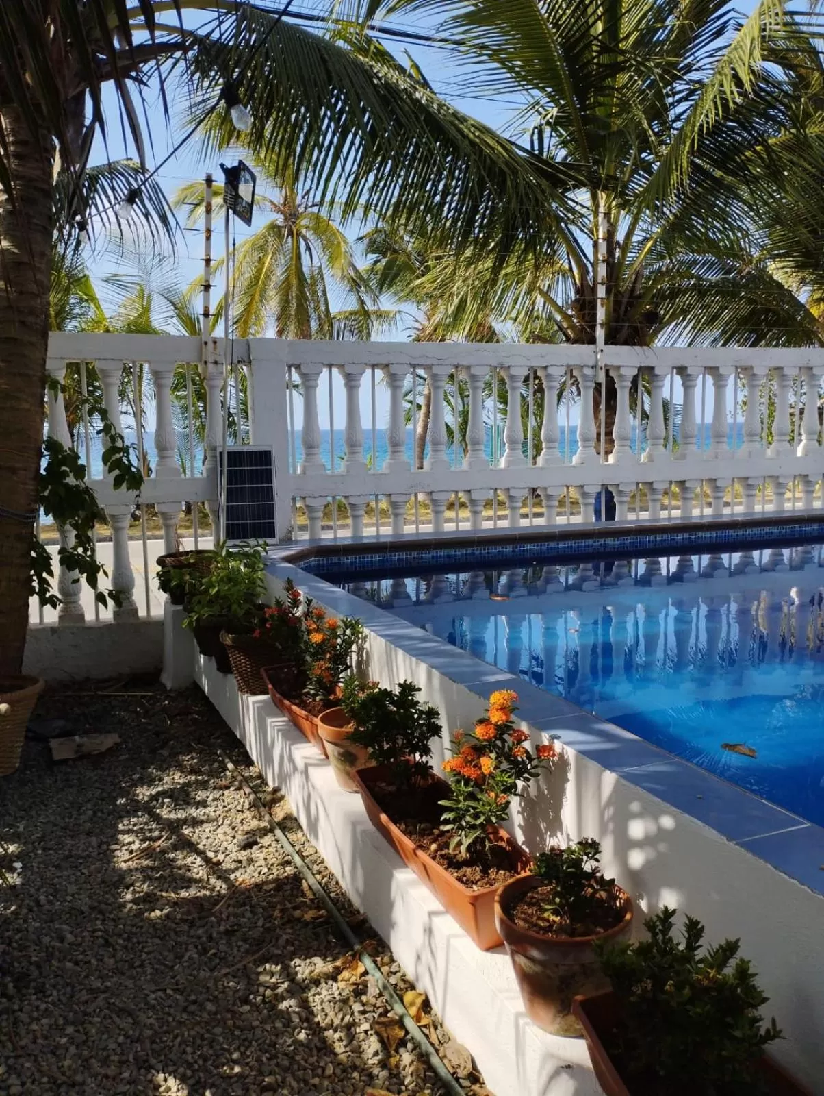 Pool view in Sunset Paradise