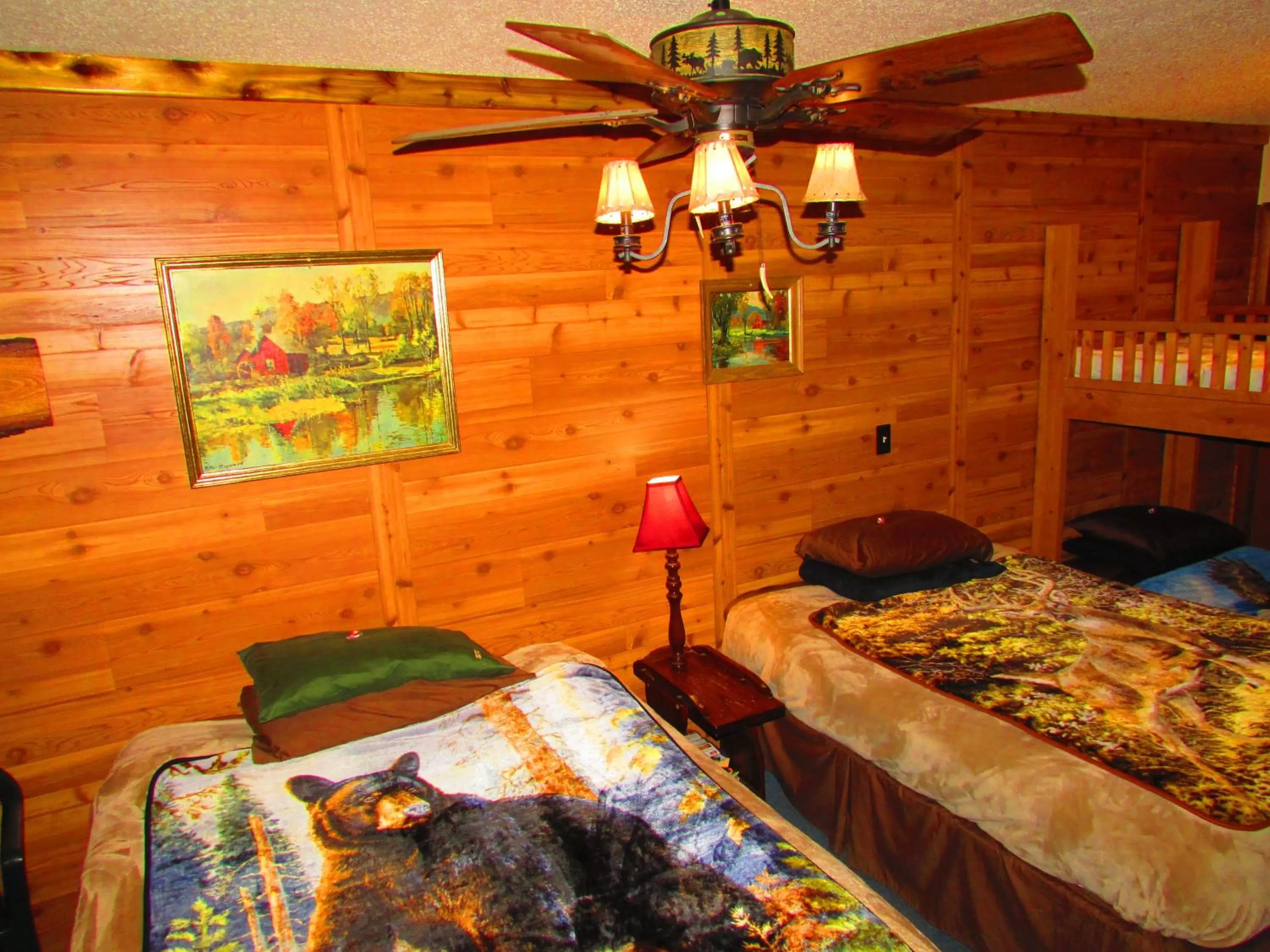 Deluxe Double Studio in Best Bear Lodge