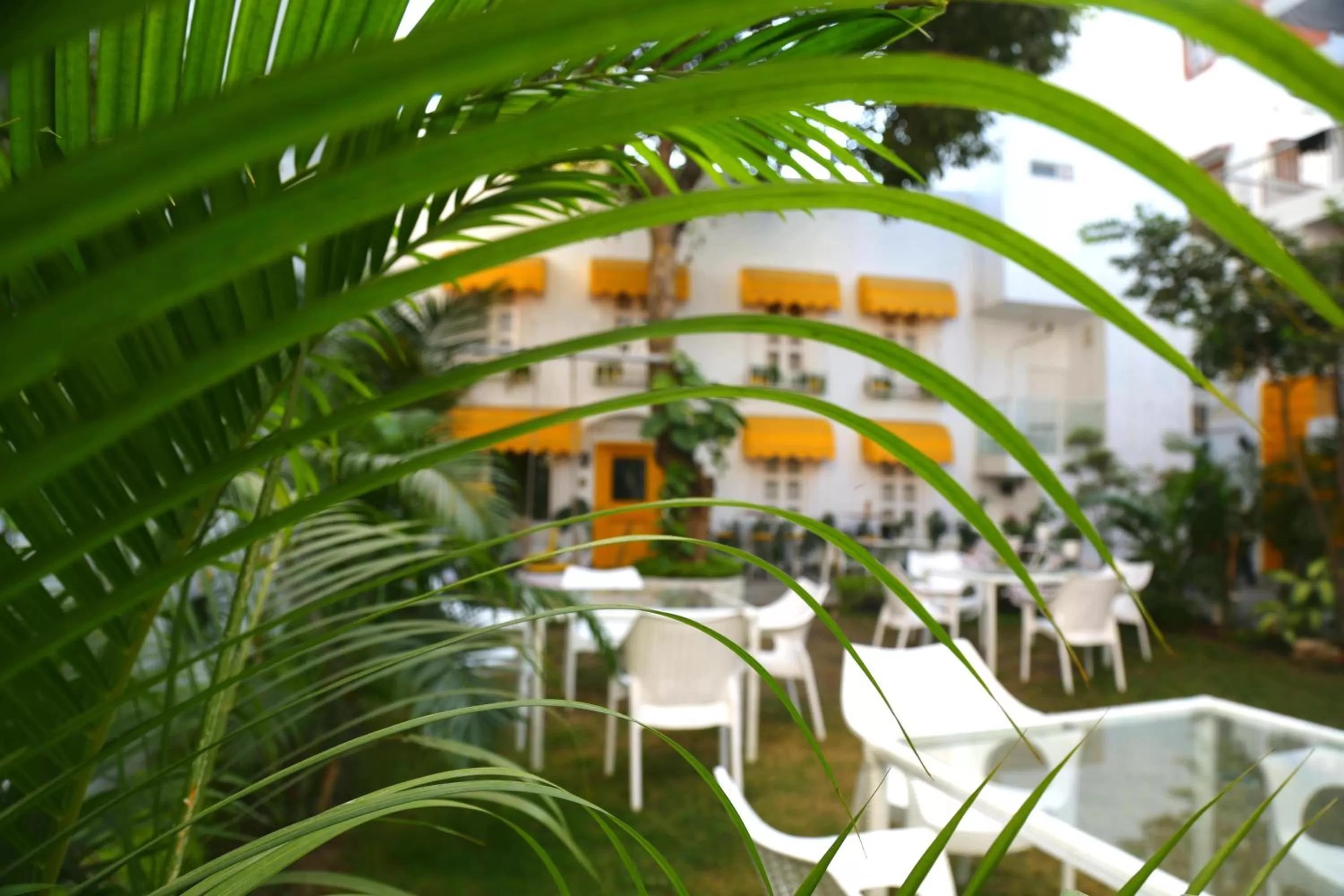 Garden view in Stay Banaras - A Boutique Hotel