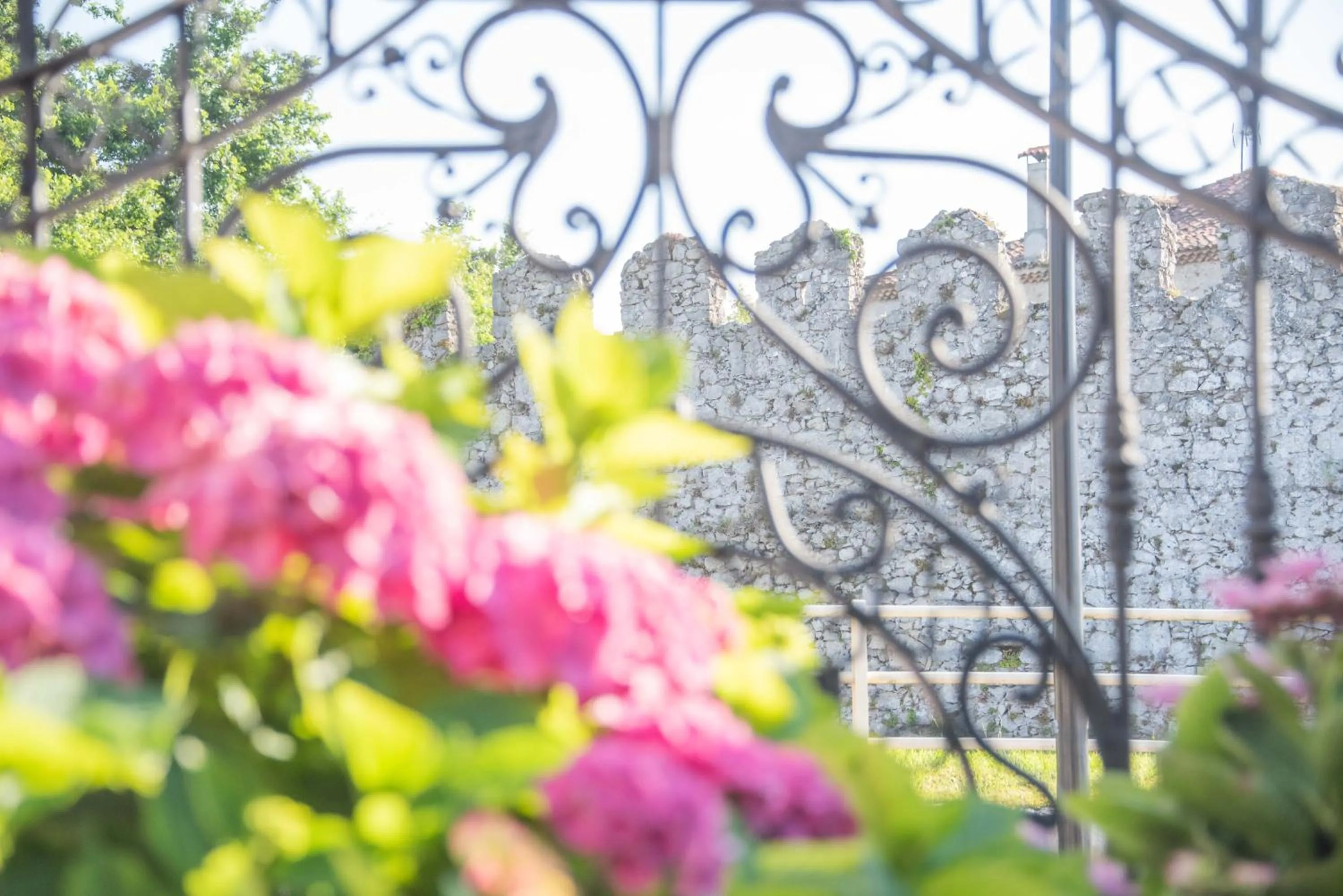Garden in Hotel Sablón