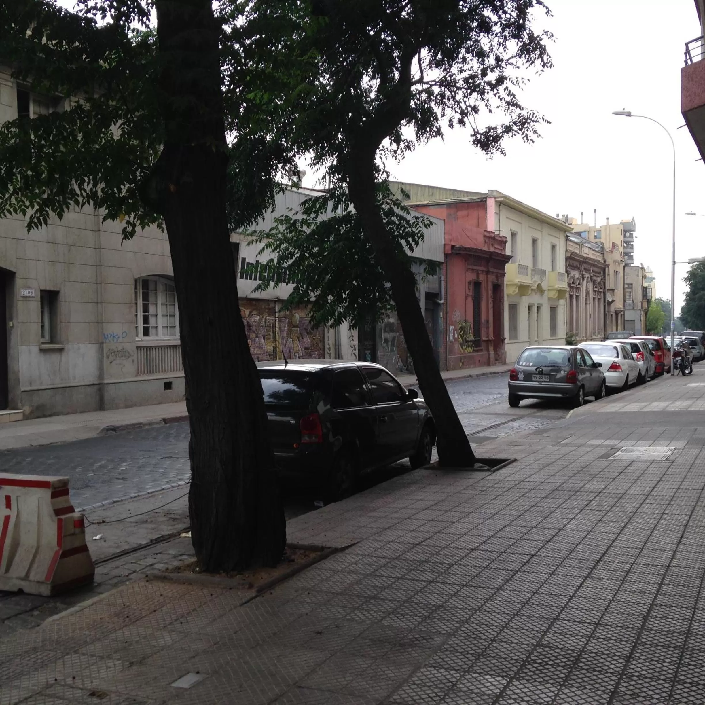 Area and facilities in Hotel La Castellana