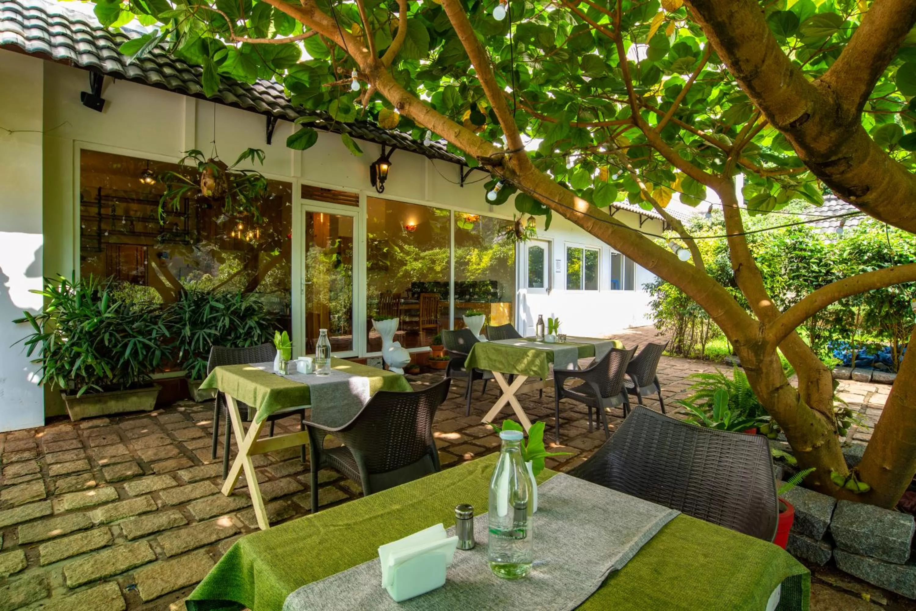 Restaurant/places to eat in Tea Harvester