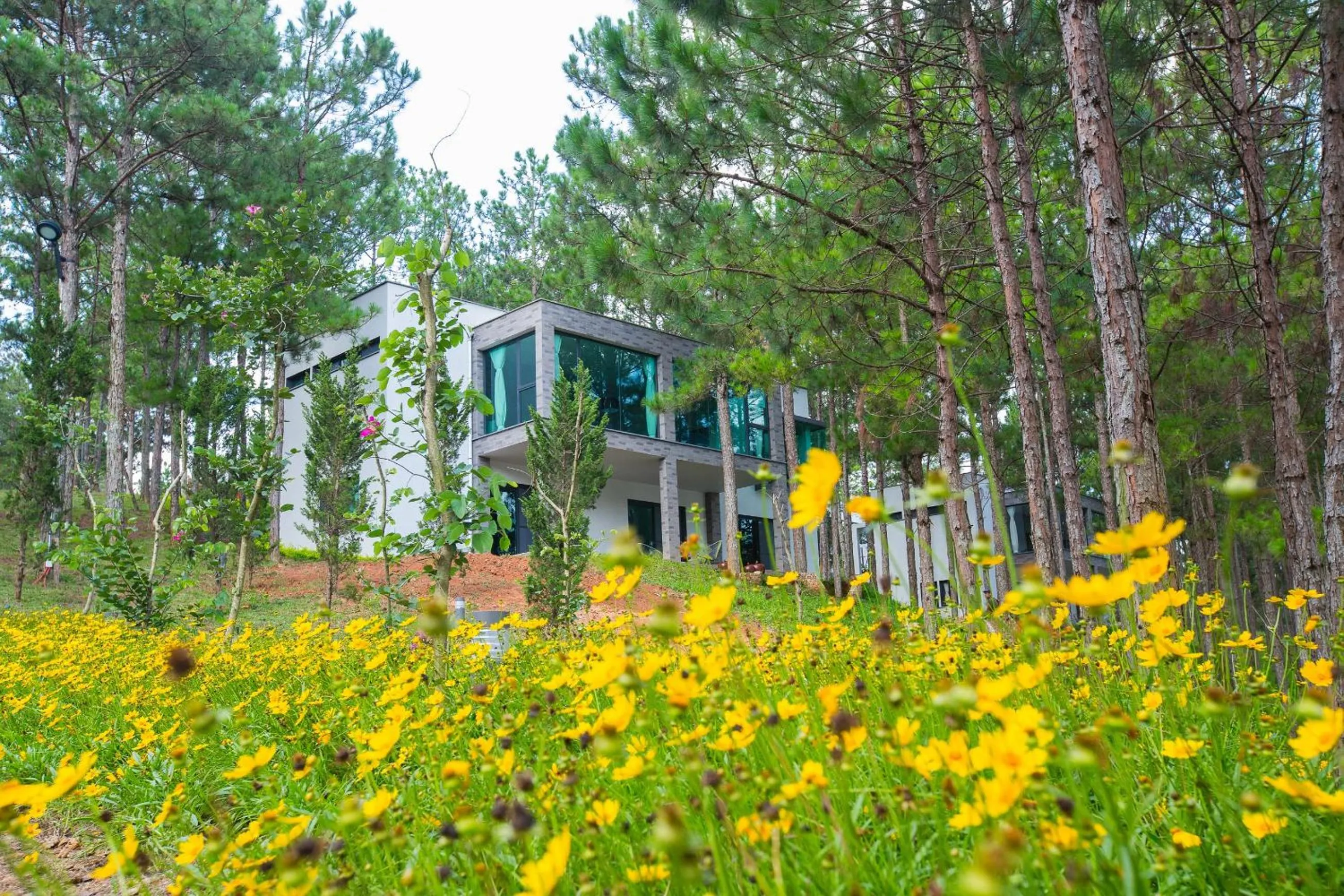 Property building in Terracotta Hotel & Resort Dalat