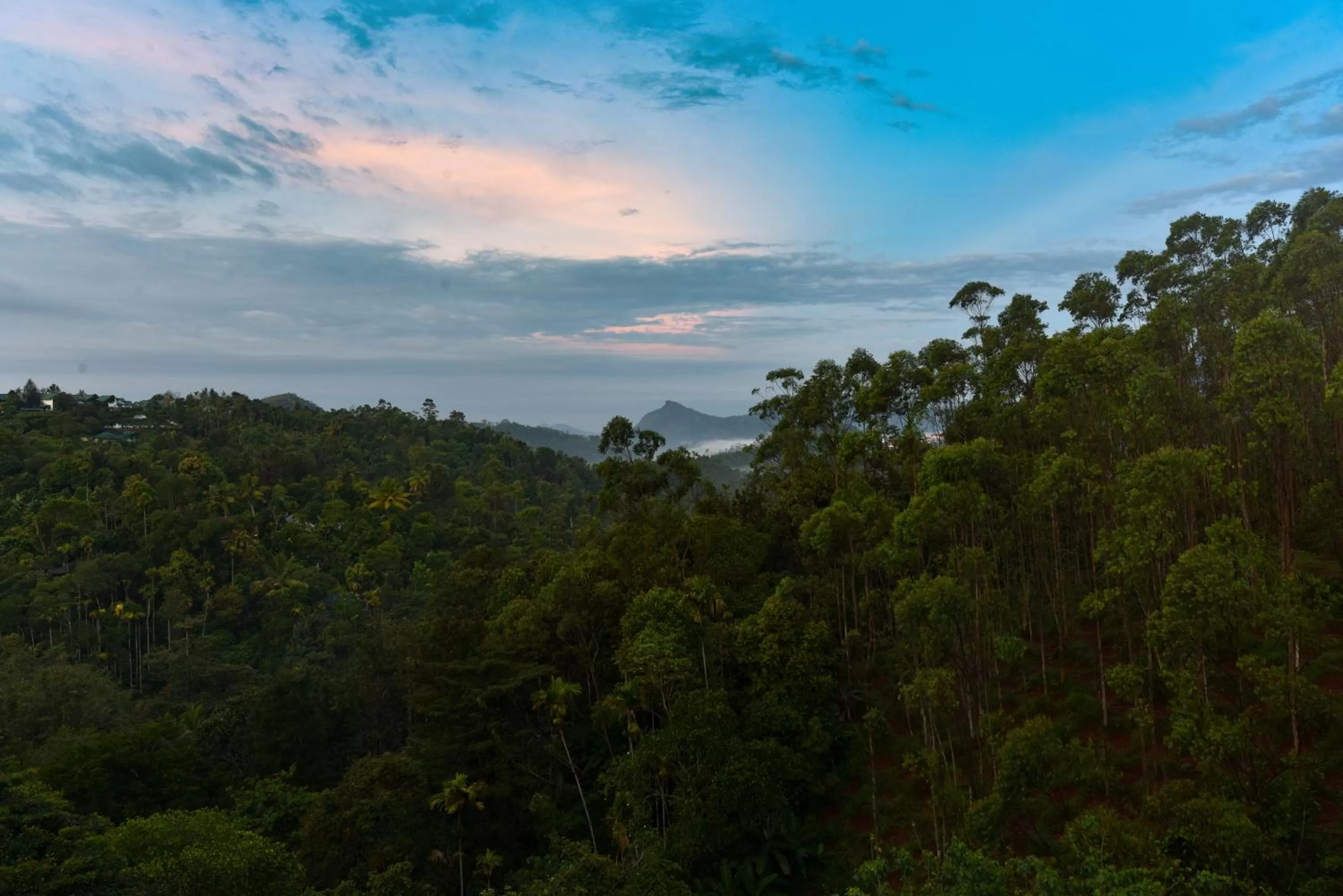 View (from property/room) in HOTEL WHITE HOUSE, Munnar