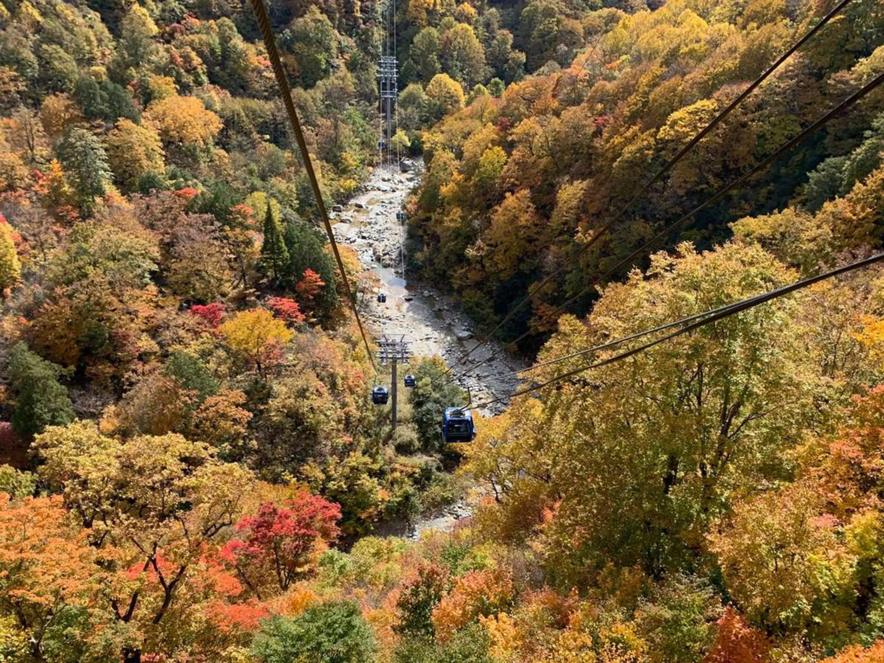Natural landscape in Naeba Prince Hotel