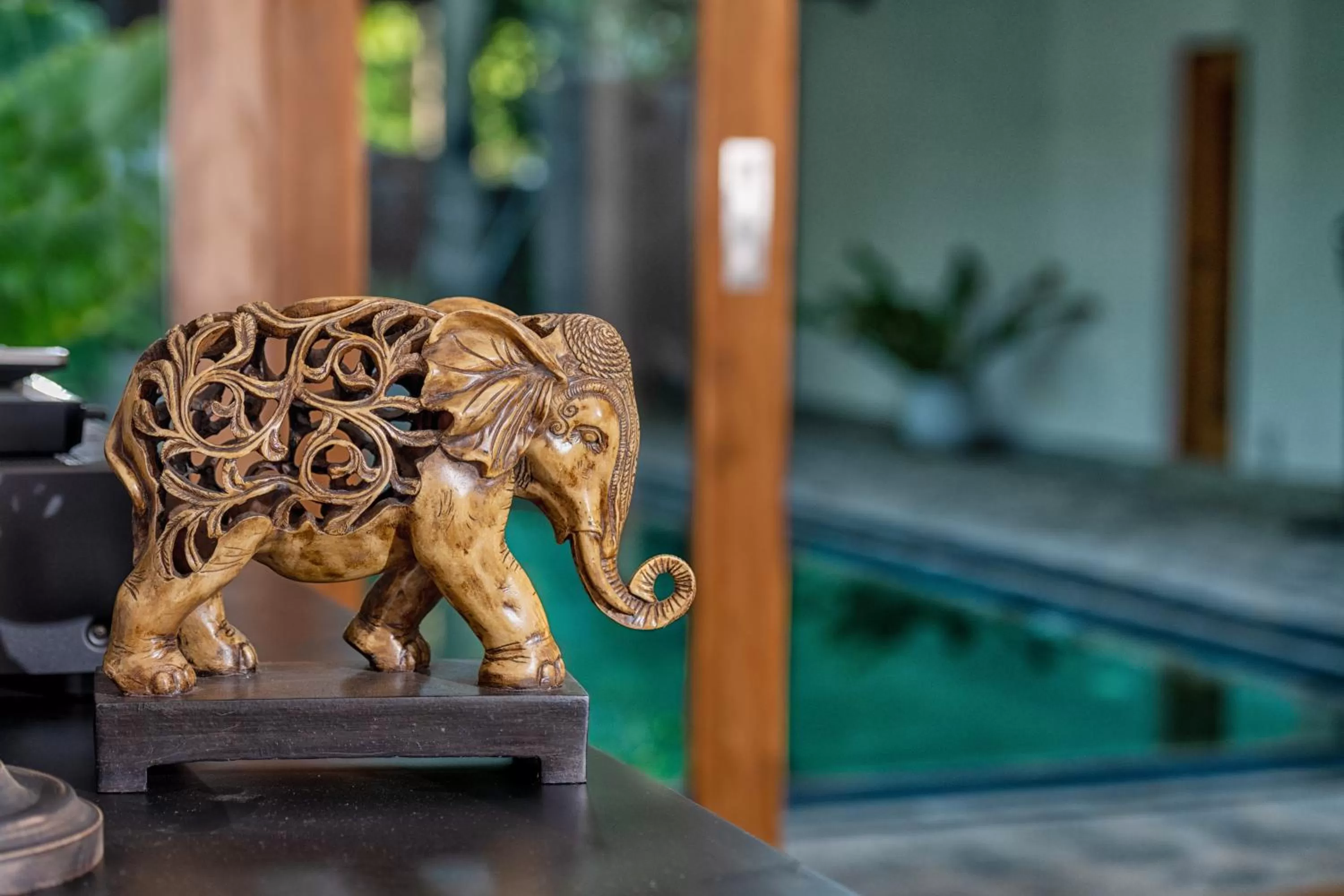 Swimming pool in Aryana Boutique Hotel