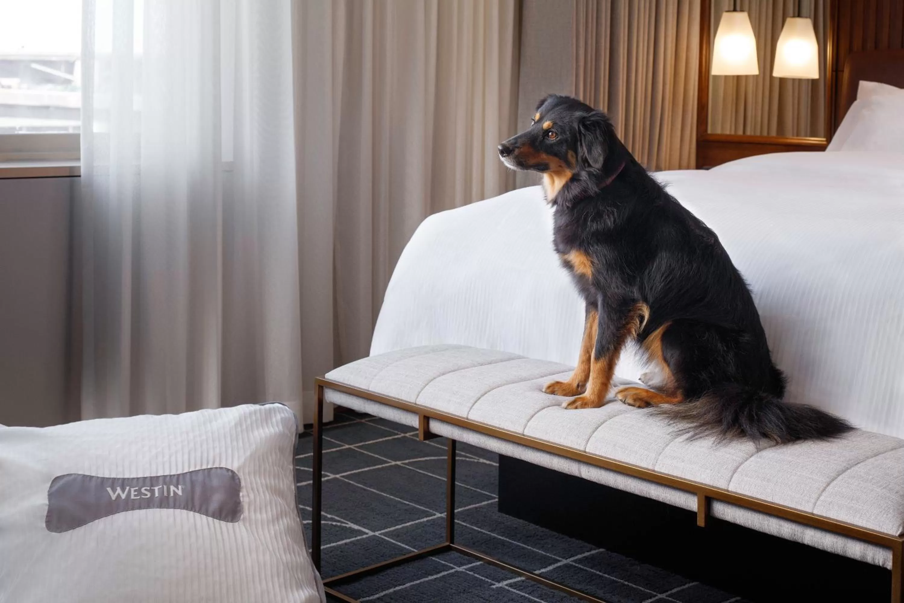 Photo of the whole room in The Westin St. Louis