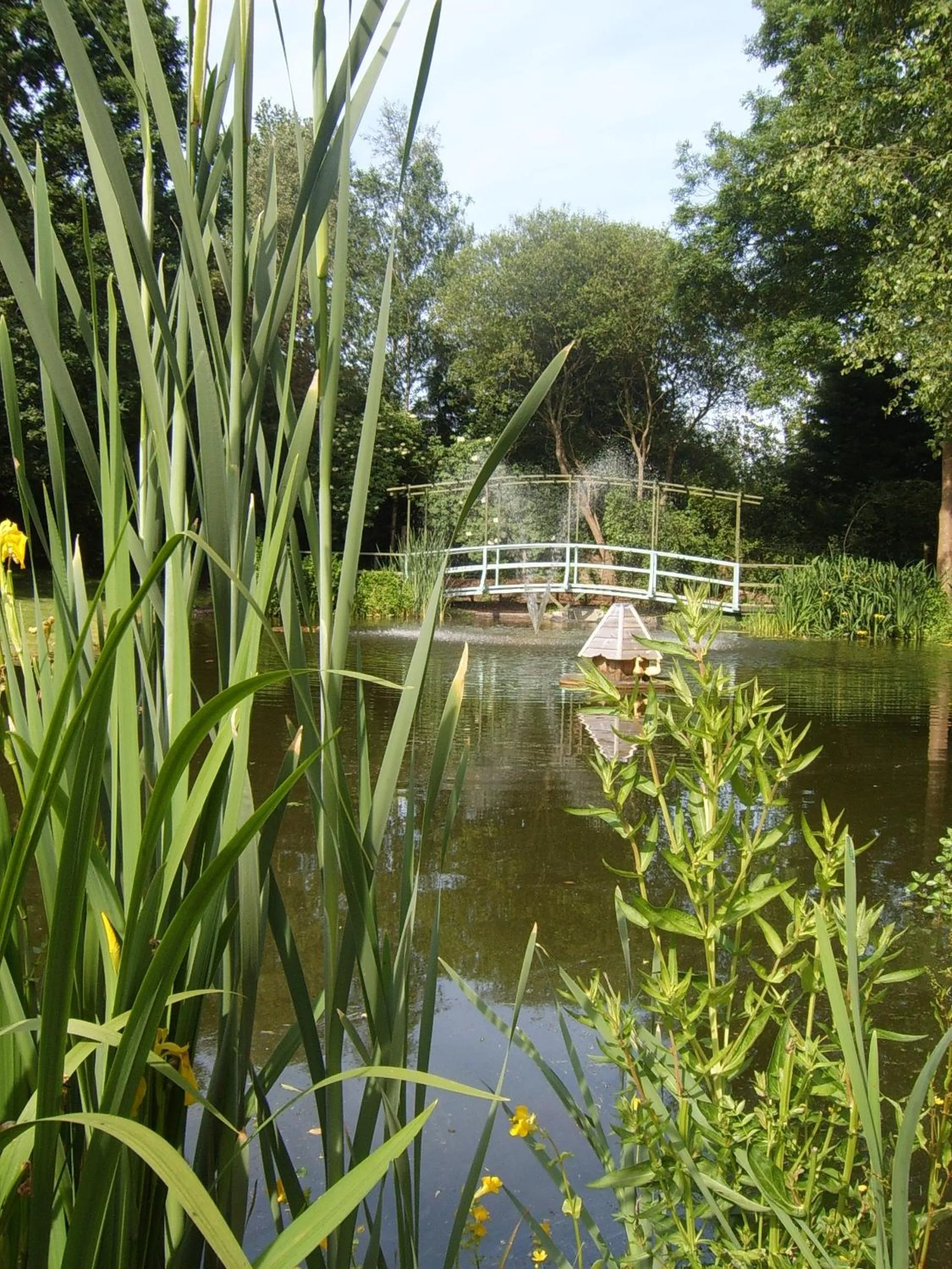 Garden in Passford House Hotel