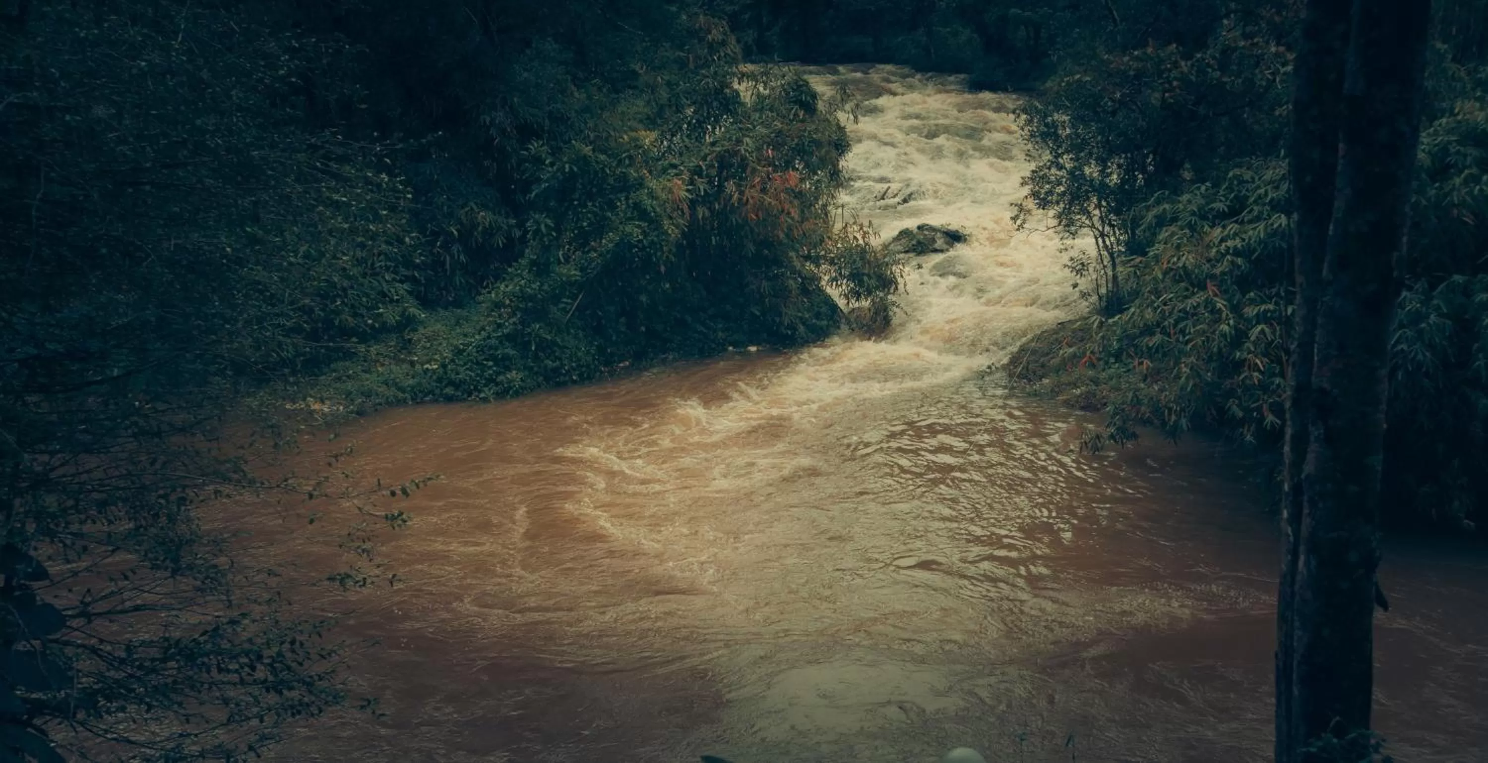 Neighbourhood in Ela Ecoland Nature Retreat