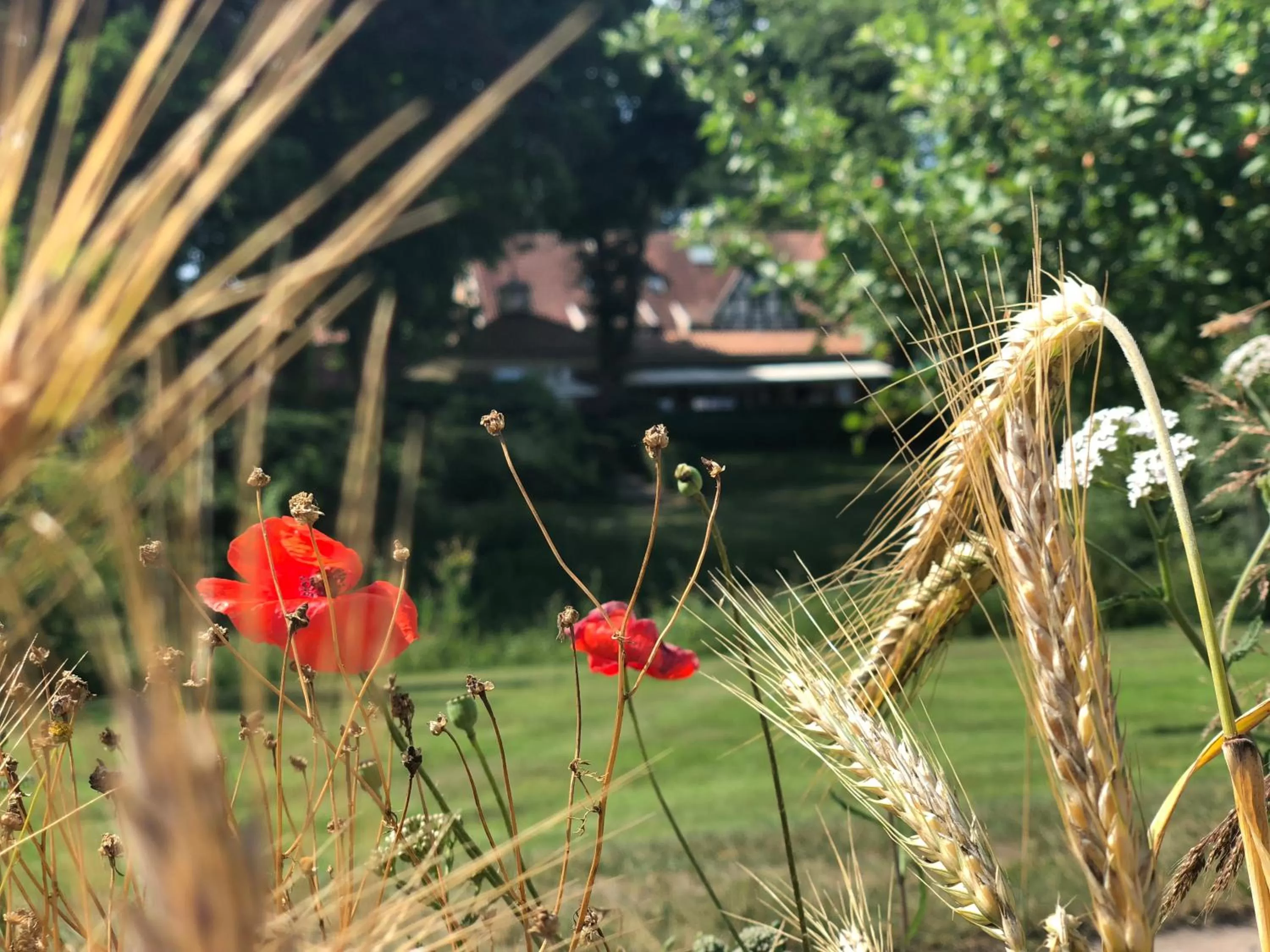 Area and facilities in Landhaus Eggert