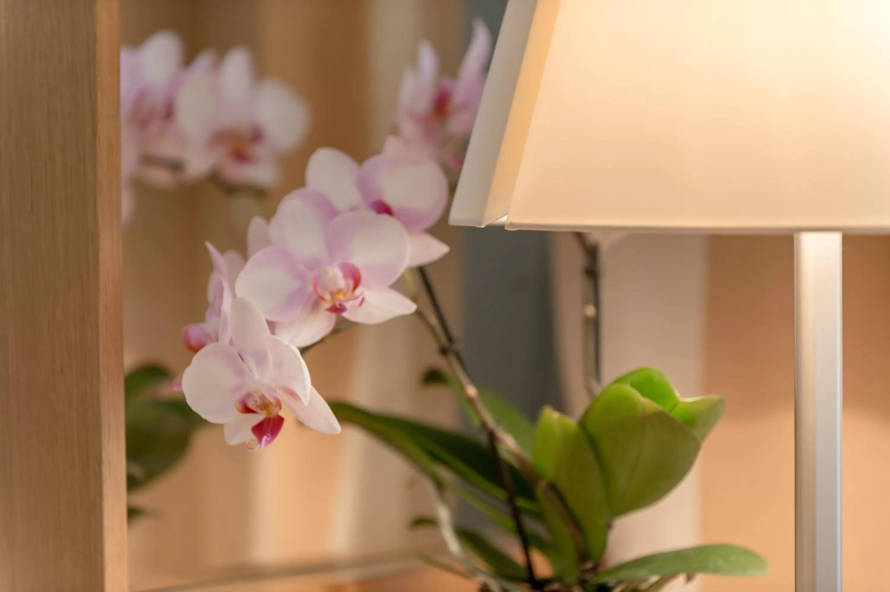 Decorative detail in La Pura Women's Health Resort Kamptal