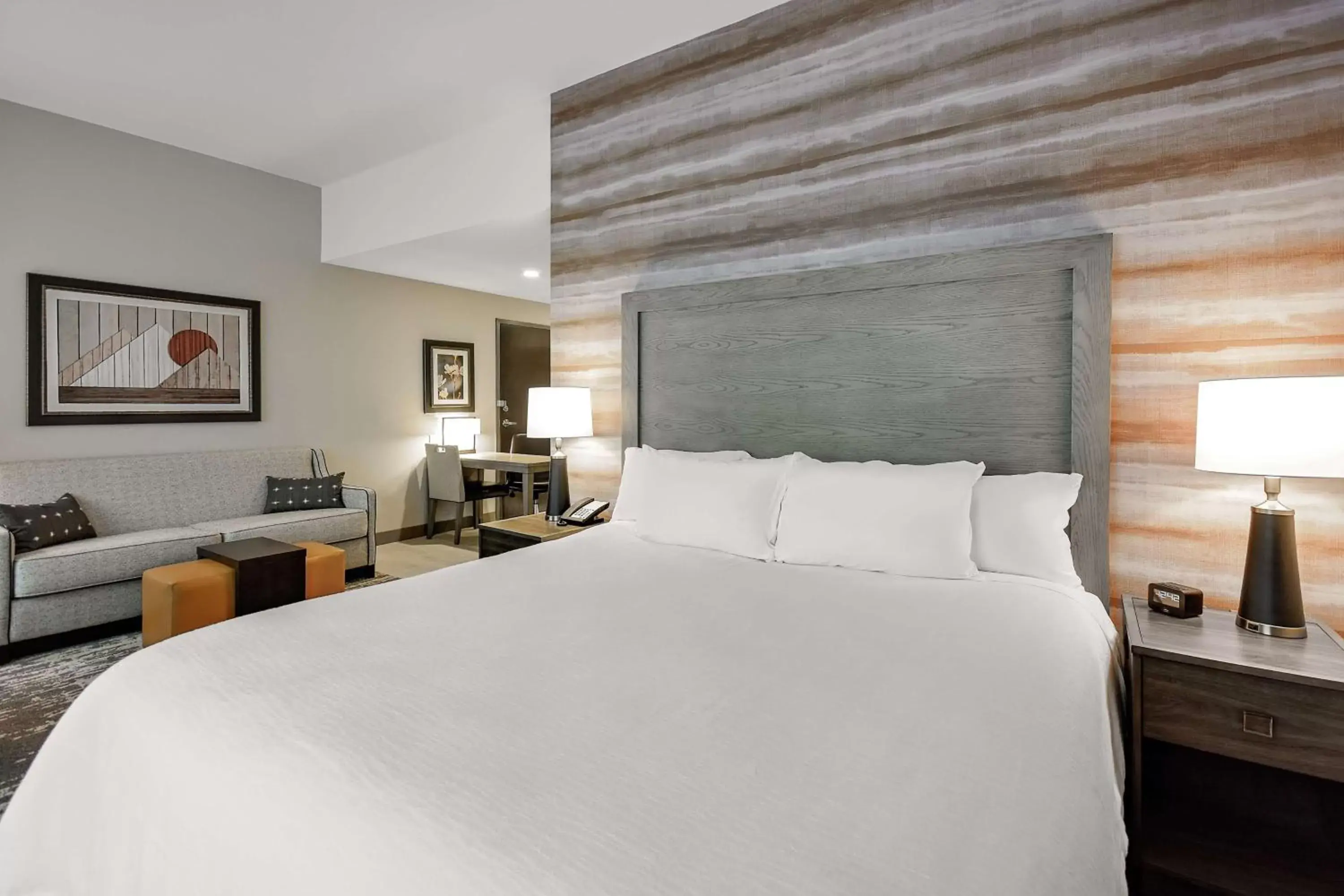 King Studio - Hearing Access in Embassy Suites by Hilton Jonesboro Red Wolf Convention Center King Studio - Hearing Access in Embassy Suites by Hilton Jonesboro Red Wolf Convention Center