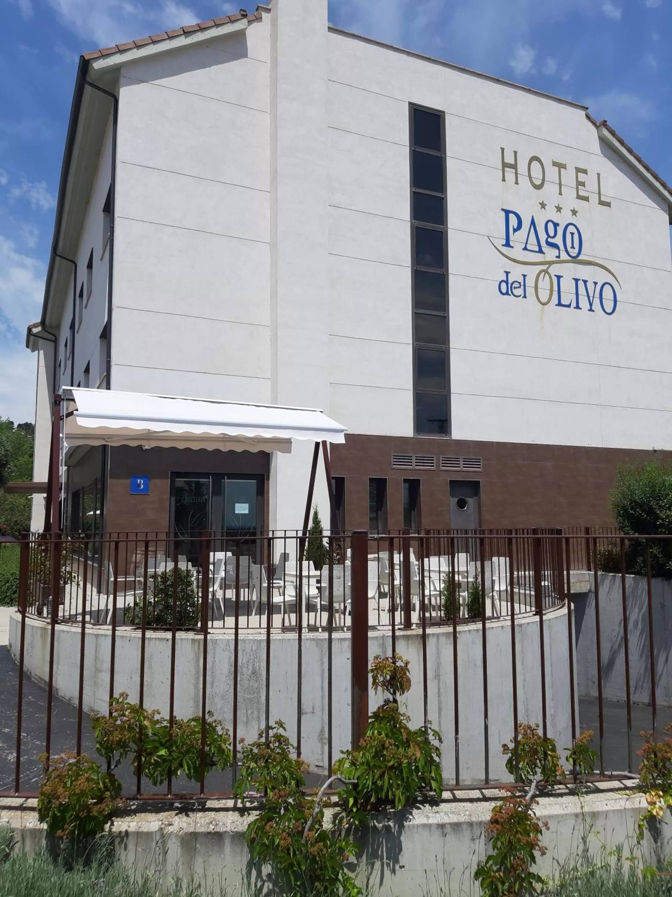 Area and facilities in Hotel Pago del Olivo