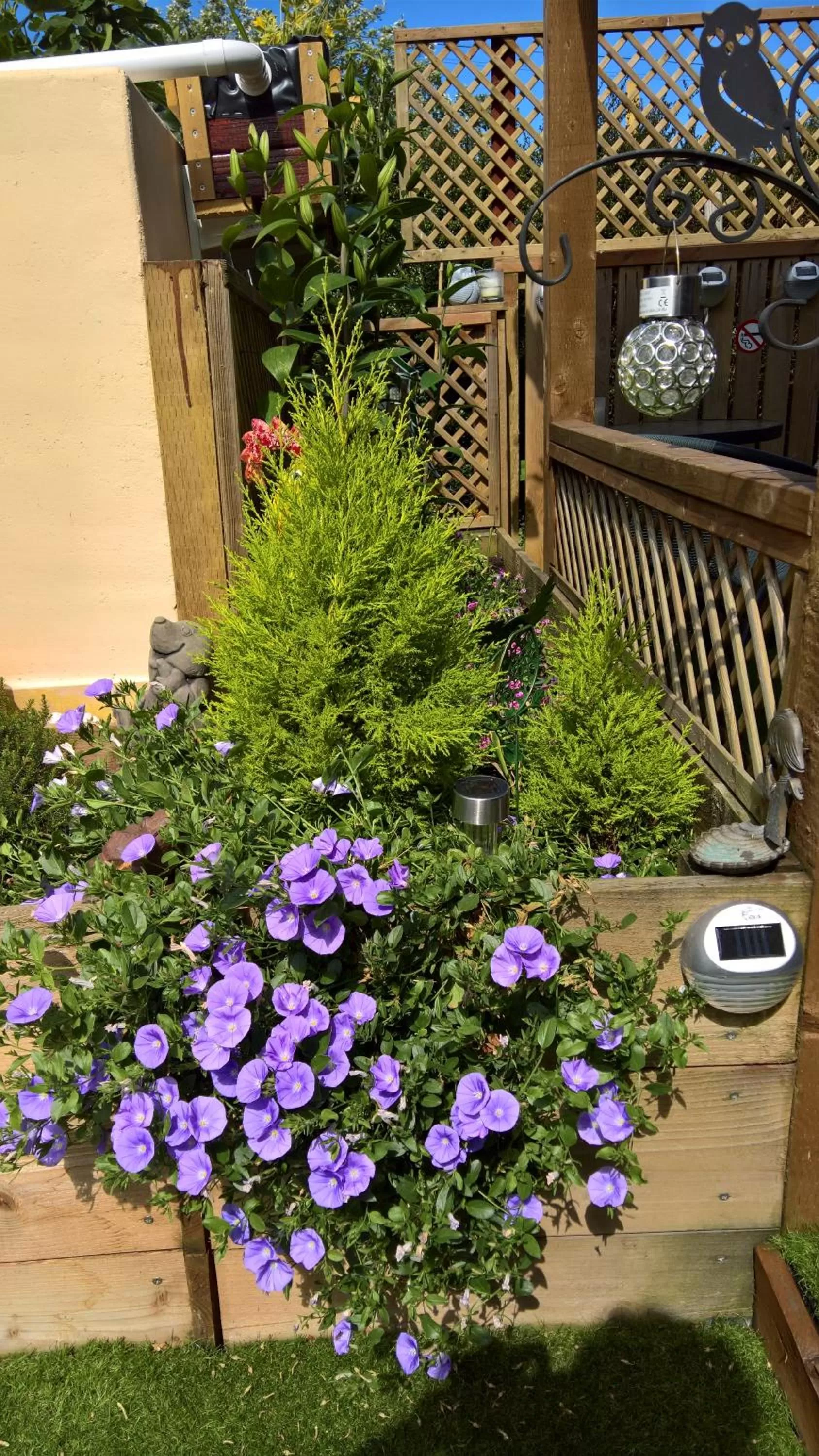 Garden view in Owly 'Ouse