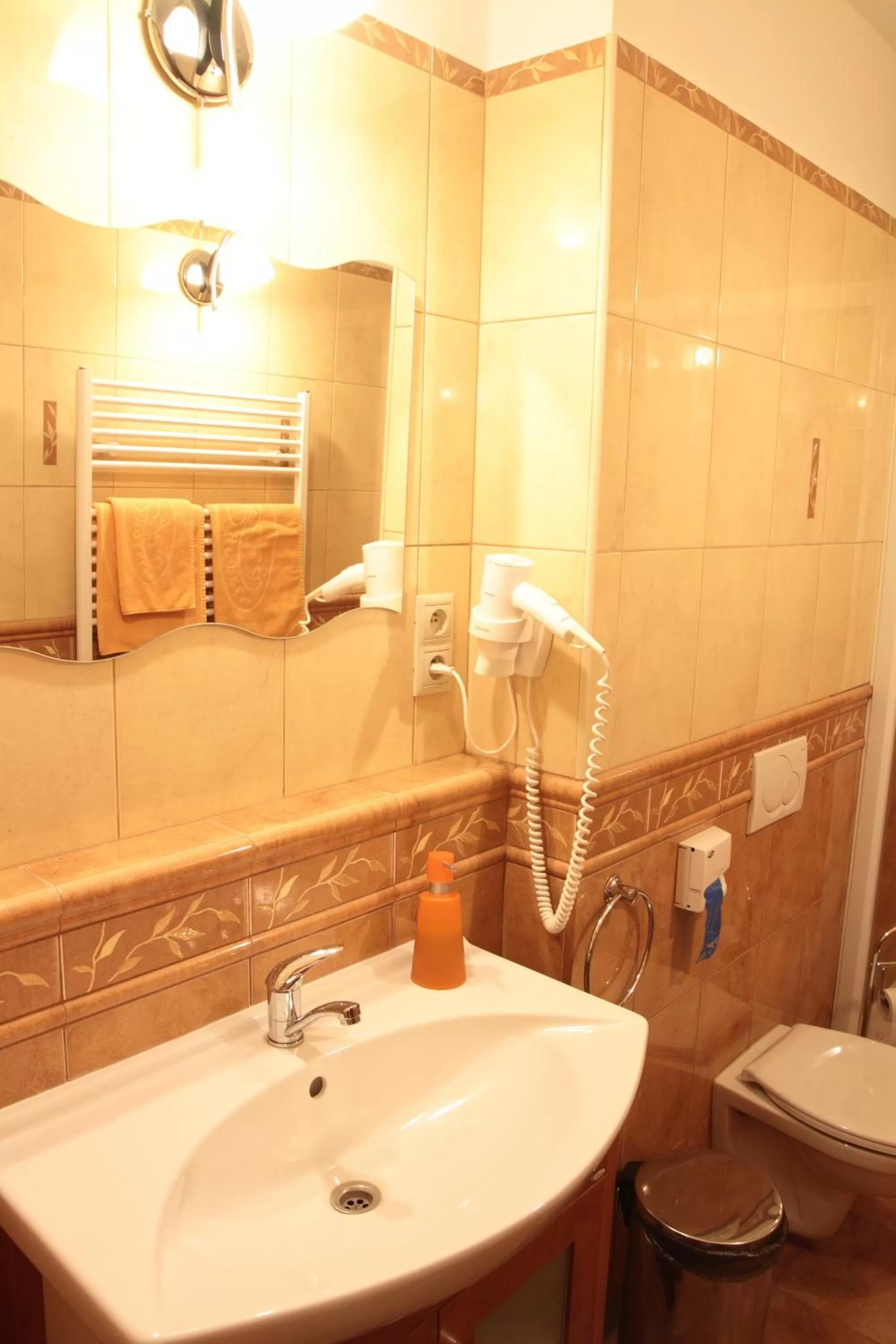 Bathroom in Hotel Lipa