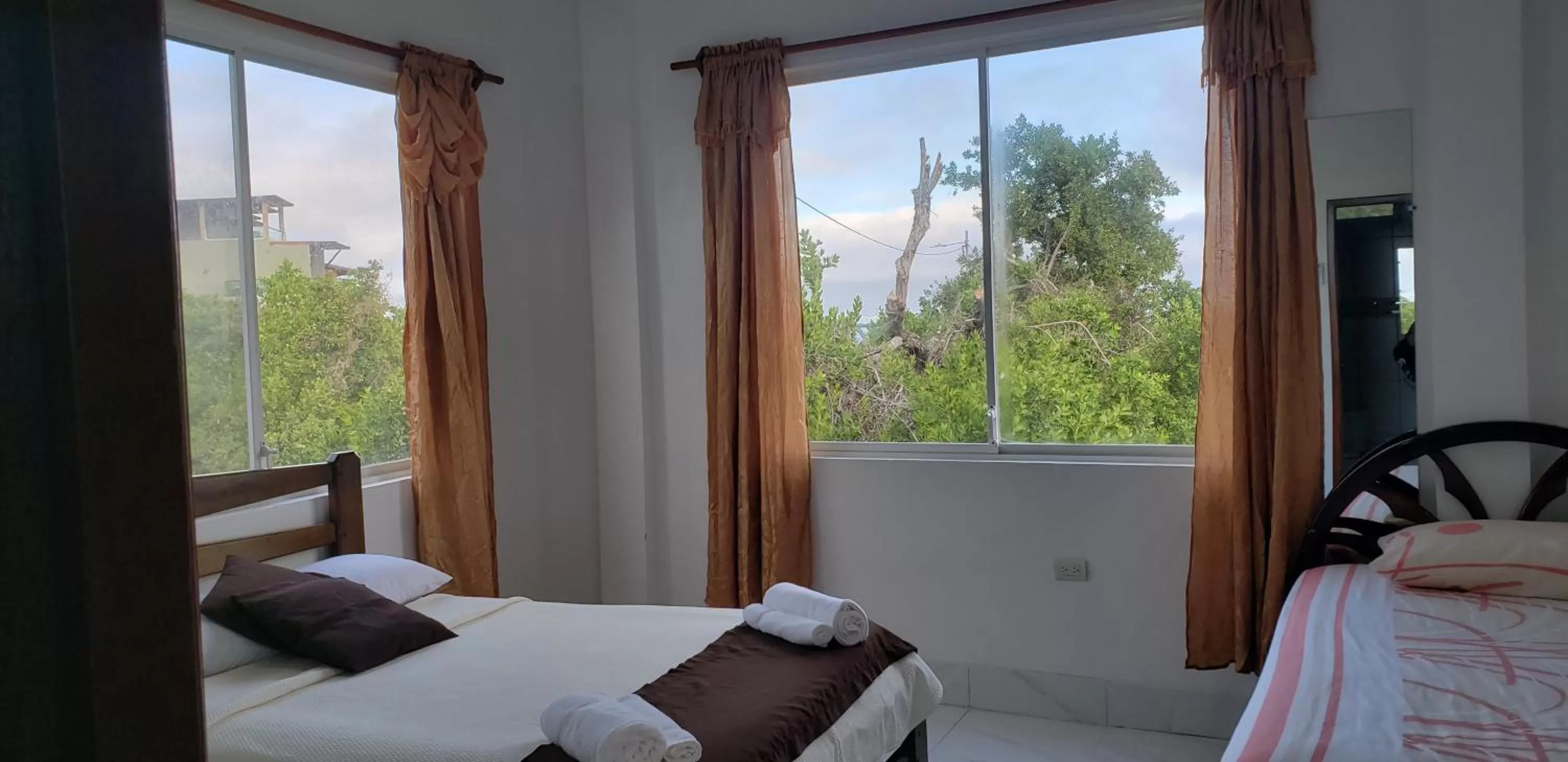 Bed, View in Hotel La Jungla