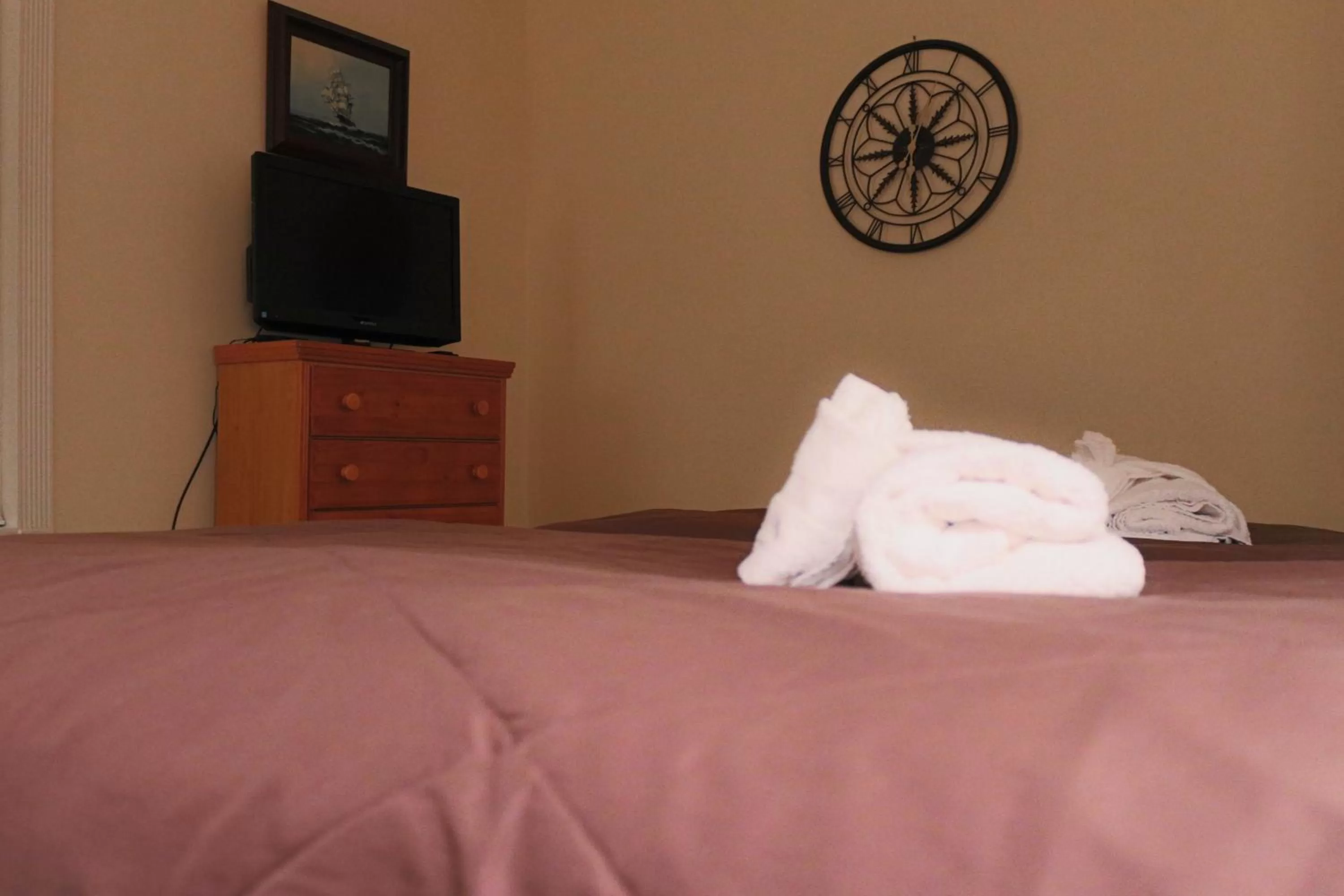 TV and multimedia in Myrtlewood Condos