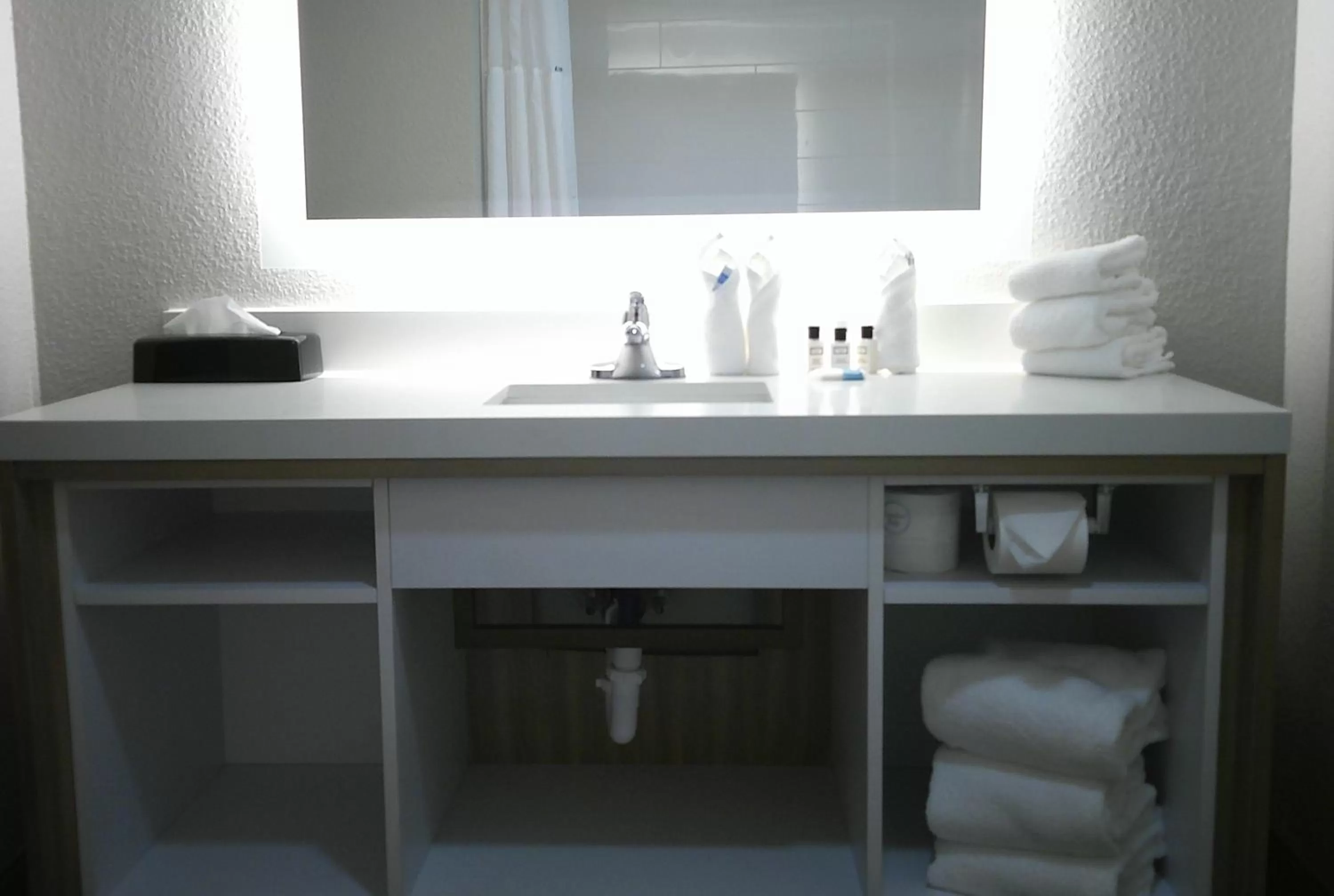 Wyndham Garden Detroit Metro Airport