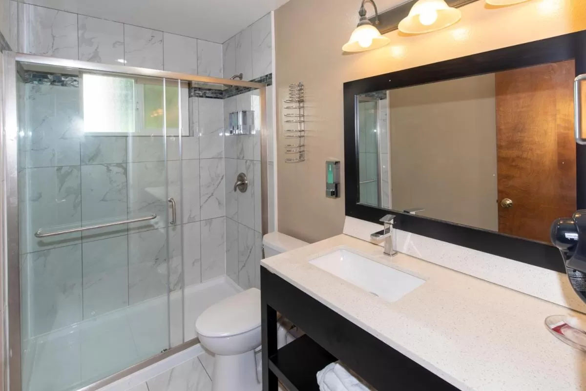 Surf Motel and Gardens