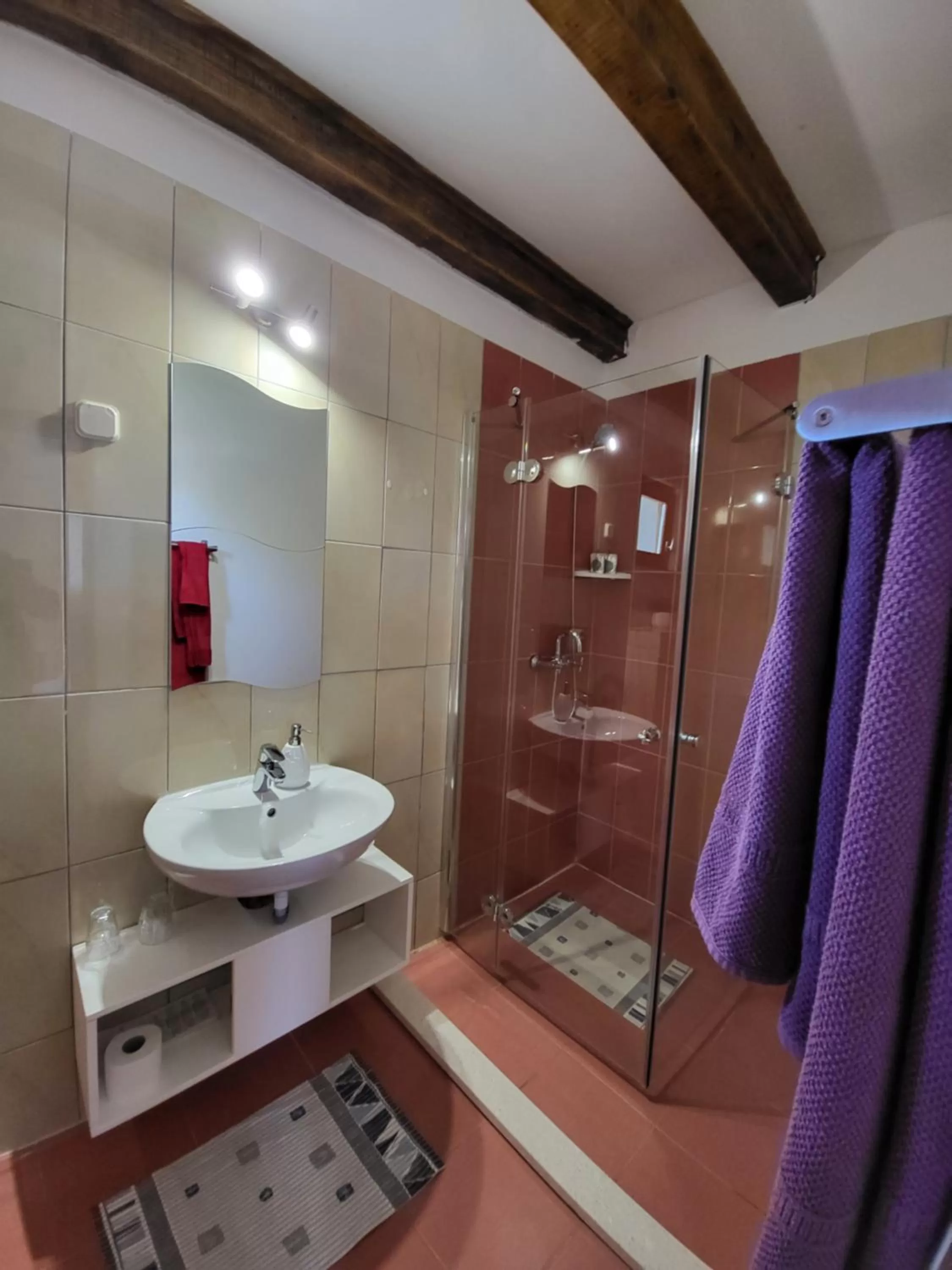 Bathroom in Agroturizam Duvančić - Konoba dida Marka