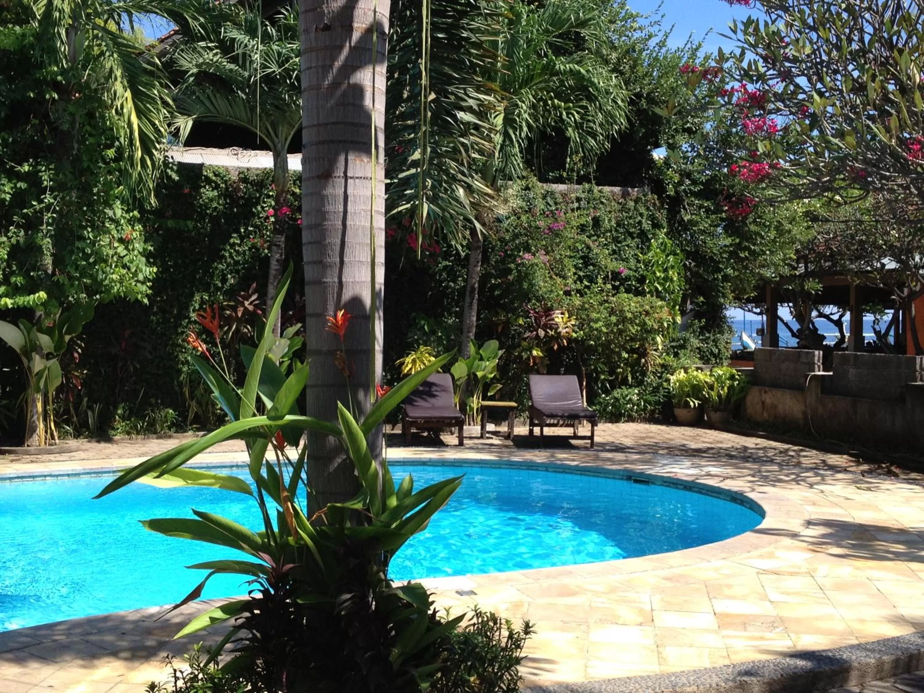 Swimming pool in Astina Hotel